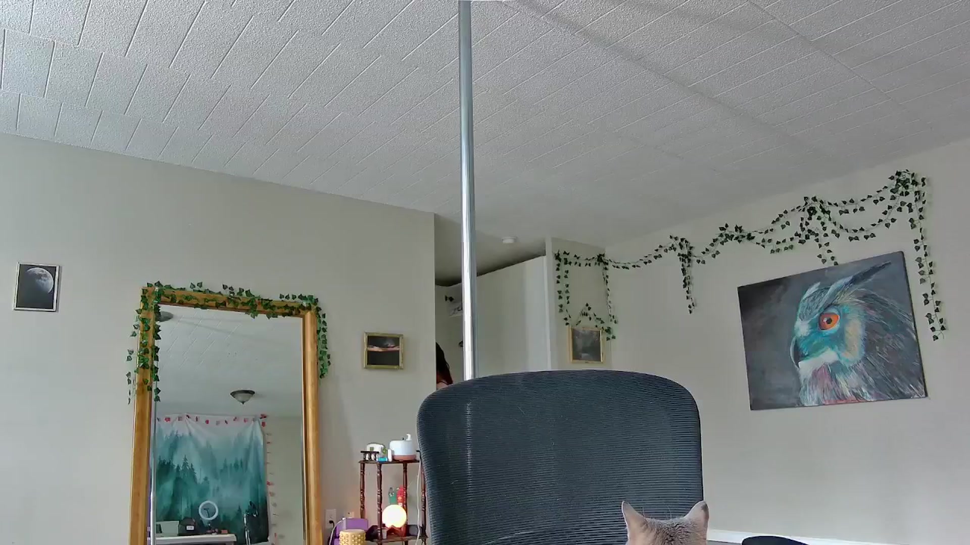 Gallery image thumbnail from GoddessJadee's myfreecams stream on, 02/21/2026, 17:34 image 18 of 20