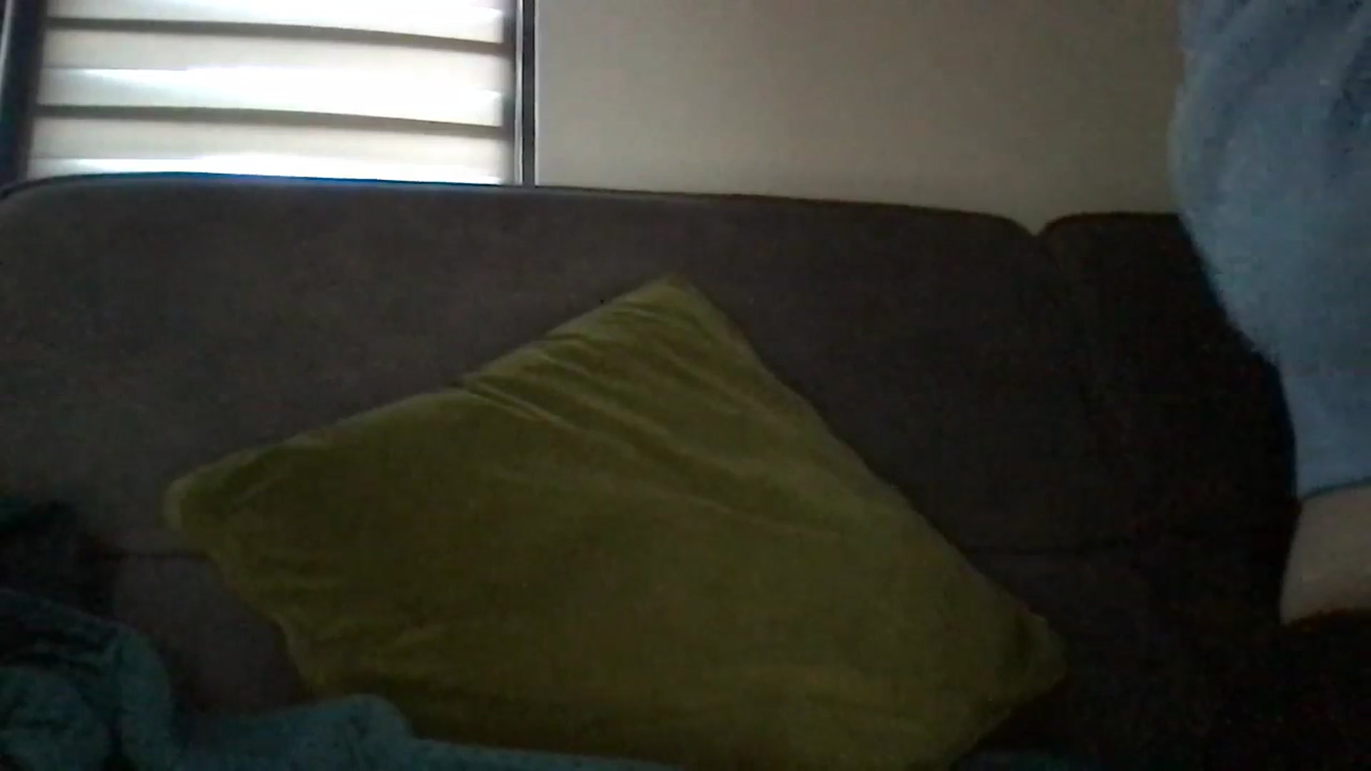 Gallery image thumbnail from GoddessLove's myfreecams stream on, 05/20/2024, 13:41 image 4 of 20