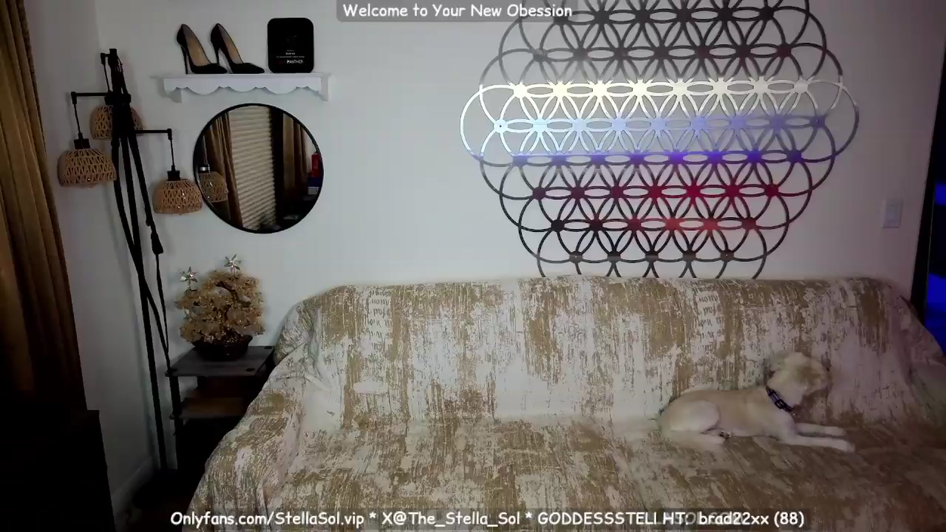 Gallery image thumbnail from GoddessStellaSol's myfreecams stream on, 07/17/2026, 03:37 image 20 of 20