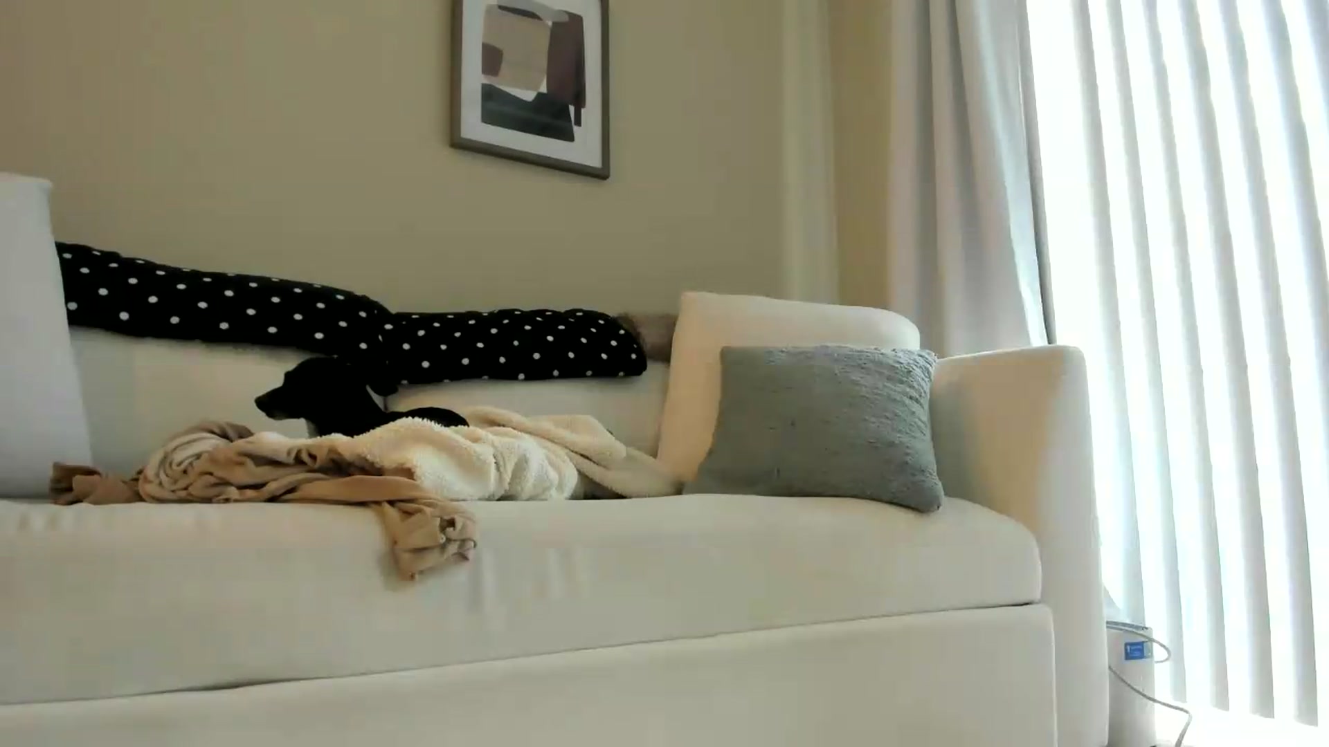 Gallery image thumbnail from GoddessToshi's myfreecams stream on, 06/09/2026, 21:00 image 20 of 20