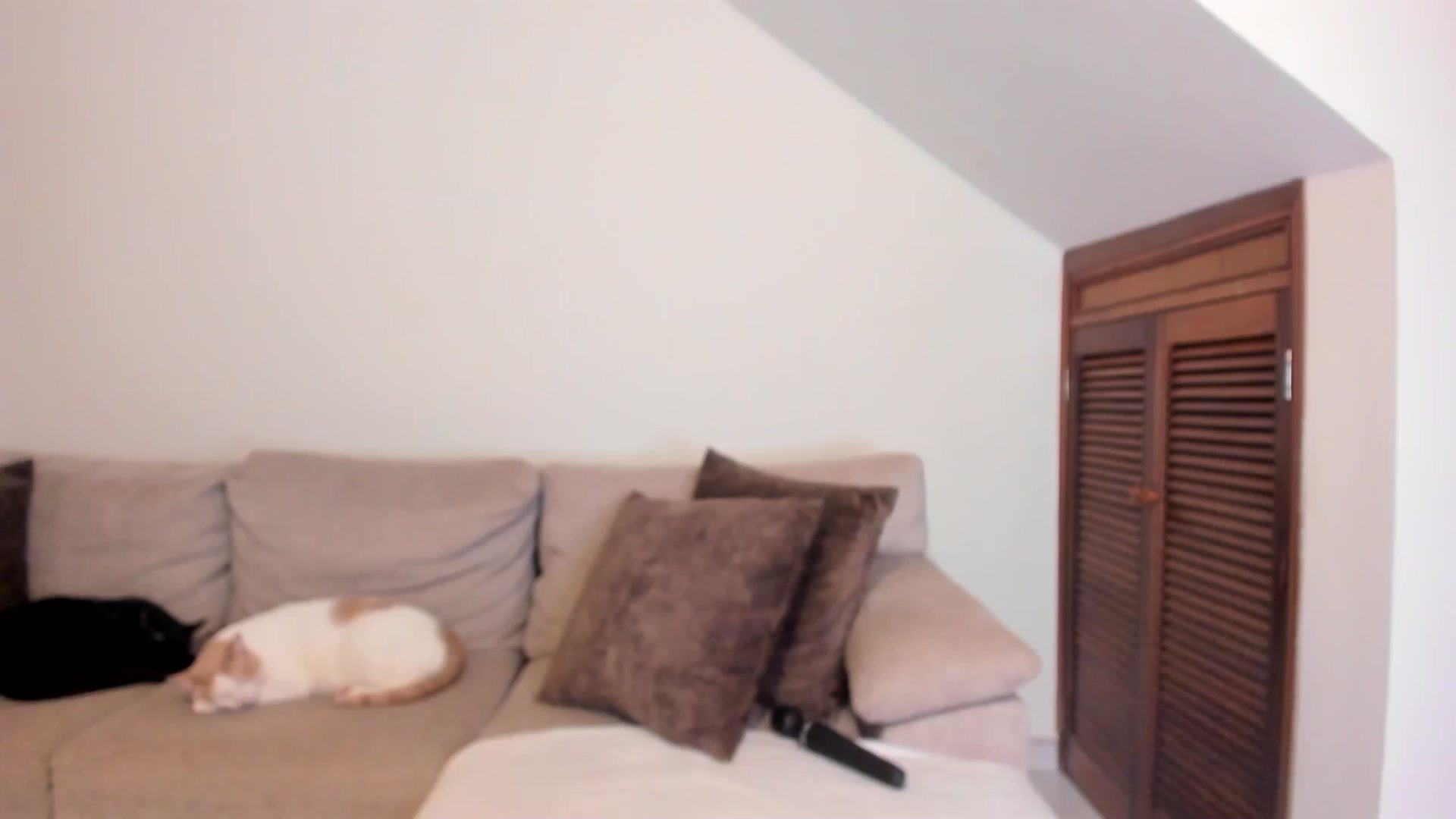 Gallery image thumbnail from GoddessVenus_'s myfreecams stream on, 02/09/2026, 22:54 image 1 of 20