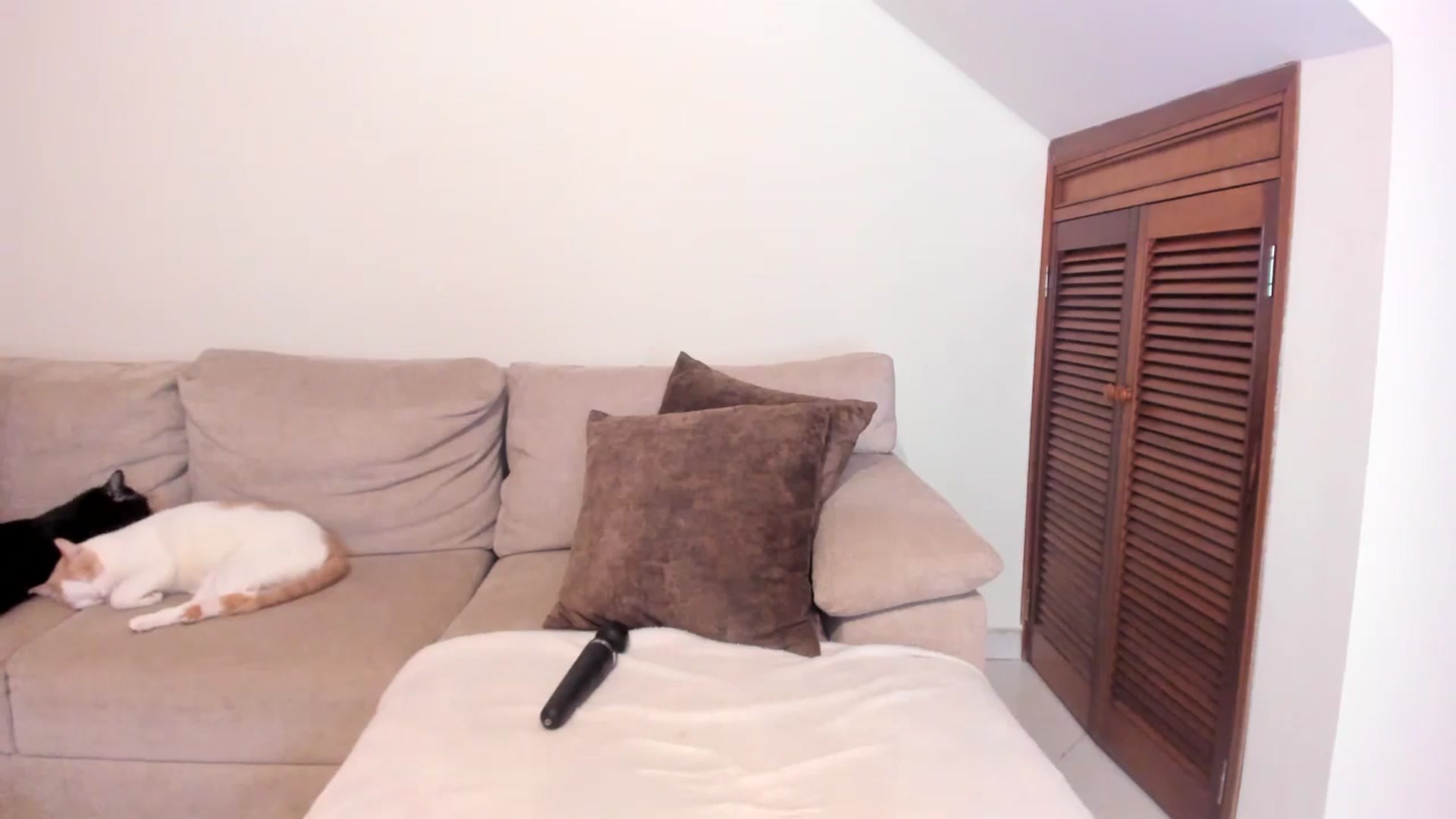 Gallery image thumbnail from GoddessVenus_'s myfreecams stream on, 02/10/2026, 01:32 image 12 of 20