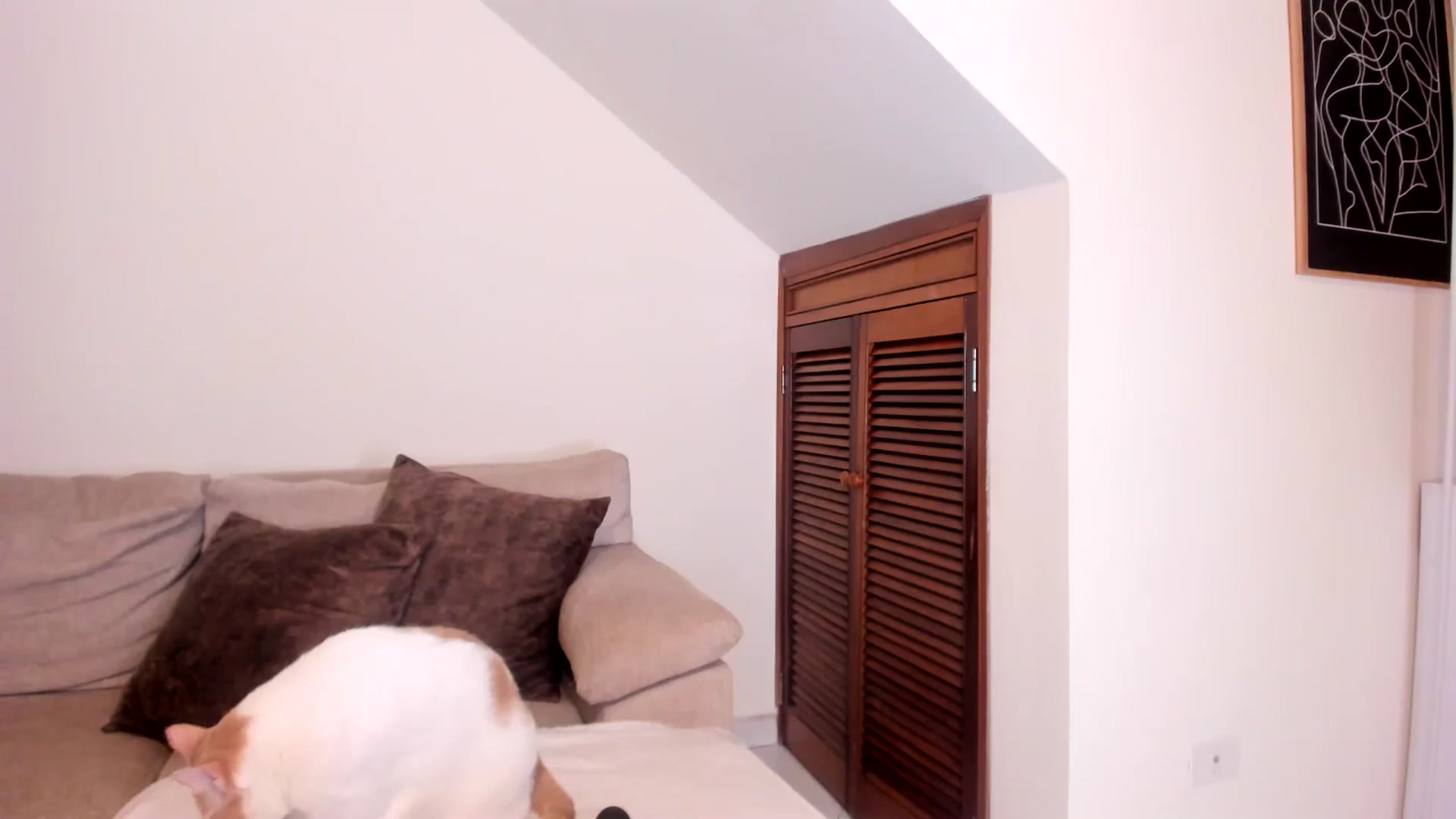 Gallery image thumbnail from GoddessVenus_'s myfreecams stream on, 04/05/2026, 20:17 image 12 of 20