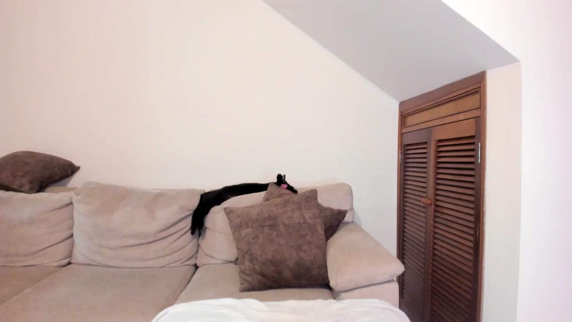 Gallery image thumbnail from GoddessVenus_'s myfreecams stream on, 04/12/2026, 22:52 image 16 of 20
