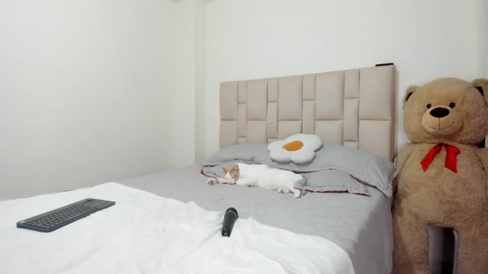 Gallery image thumbnail from GoddessVenus_'s myfreecams stream on, 04/24/2026, 23:51 image 16 of 20