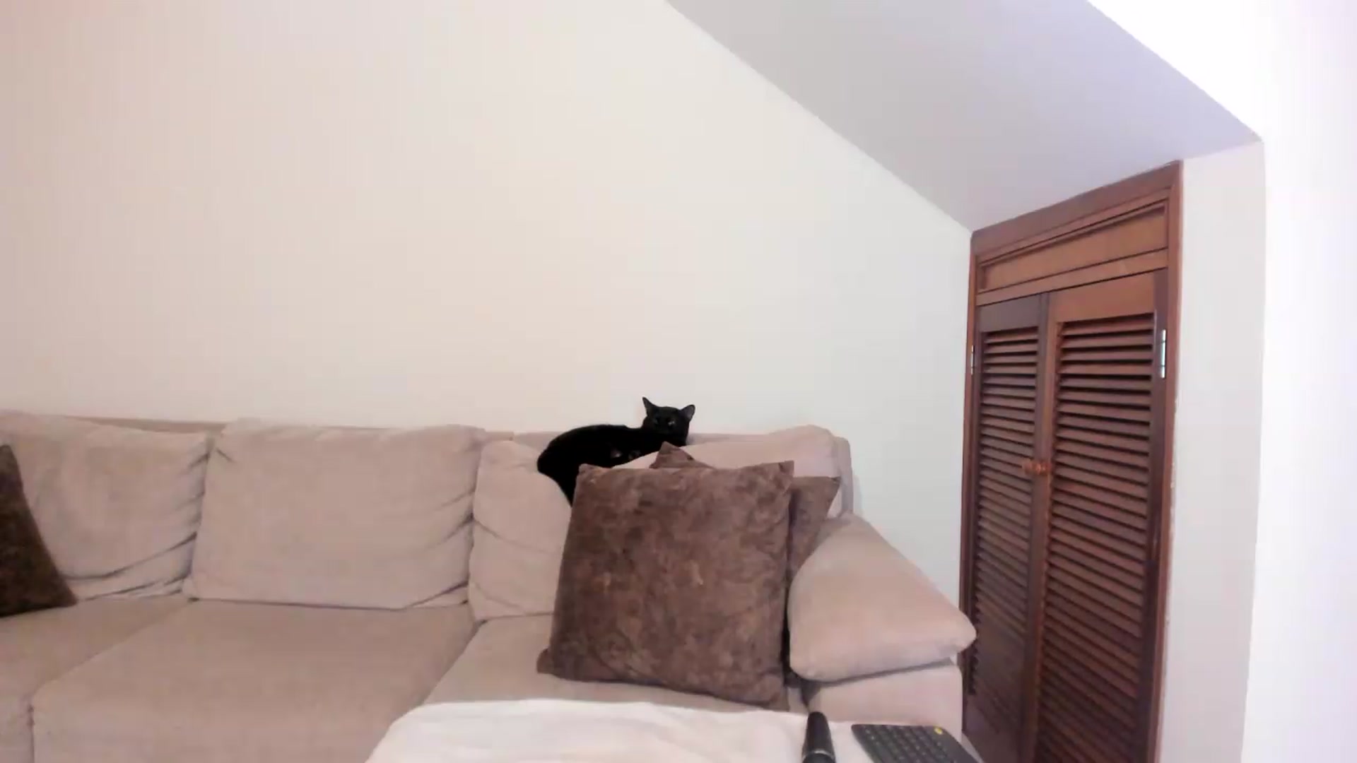 Gallery image thumbnail from GoddessVenus_'s myfreecams stream on, 05/13/2026, 22:36 image 5 of 20