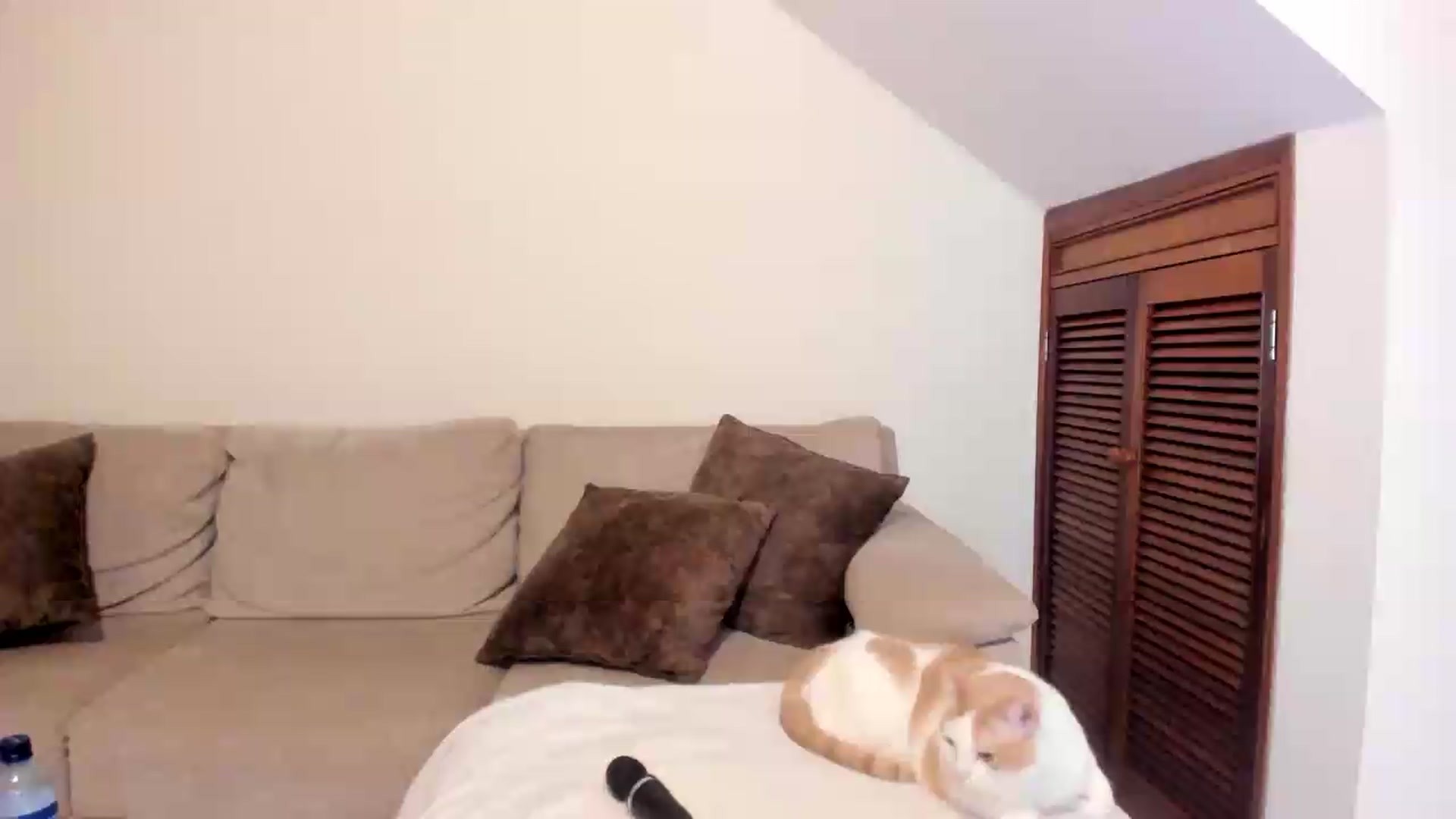 Gallery image thumbnail from GoddessVenus_'s myfreecams stream on, 07/05/2026, 24:10 image 15 of 20