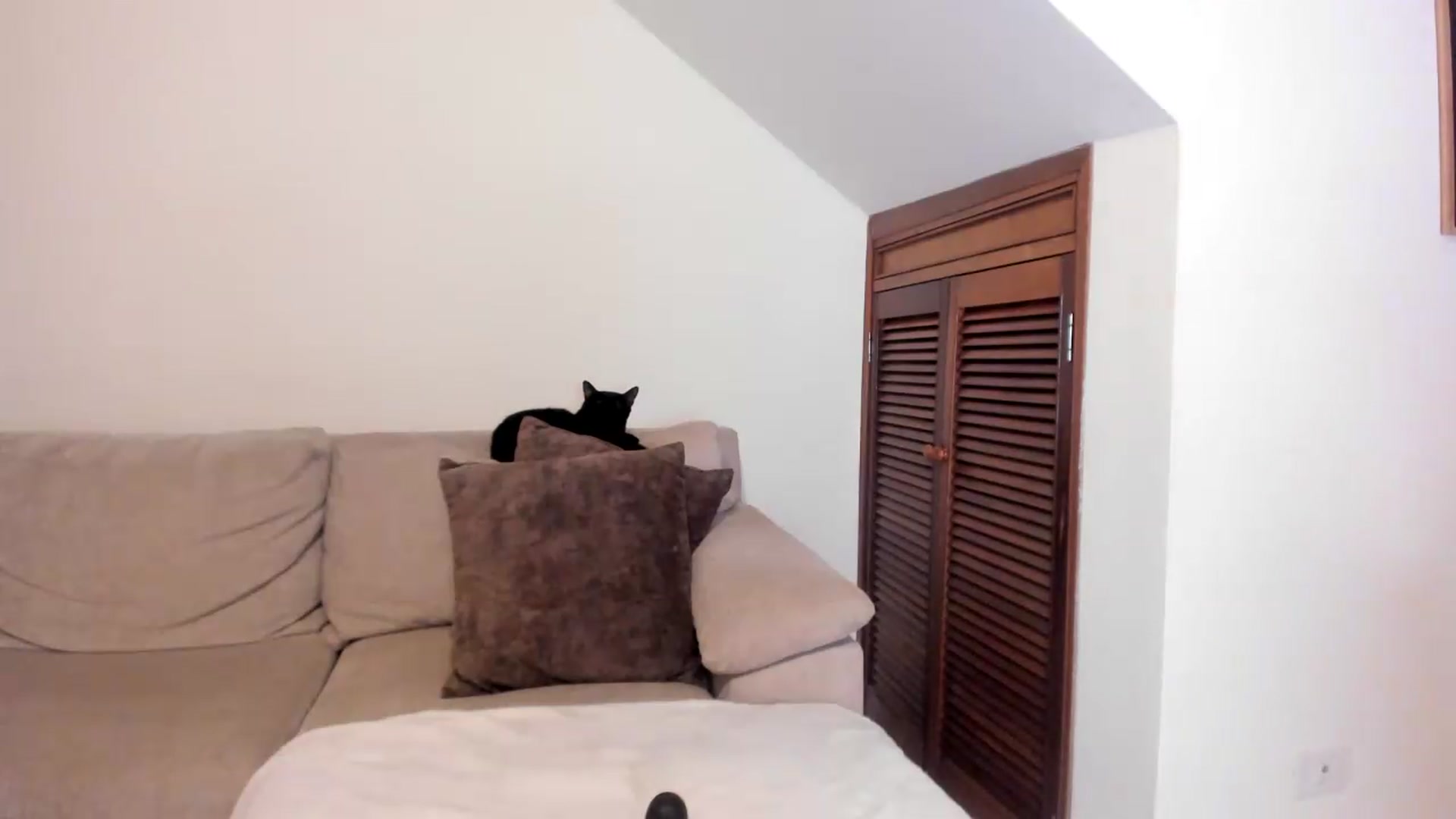 Gallery image thumbnail from GoddessVenus_'s myfreecams stream on, 07/13/2026, 23:11 image 3 of 20