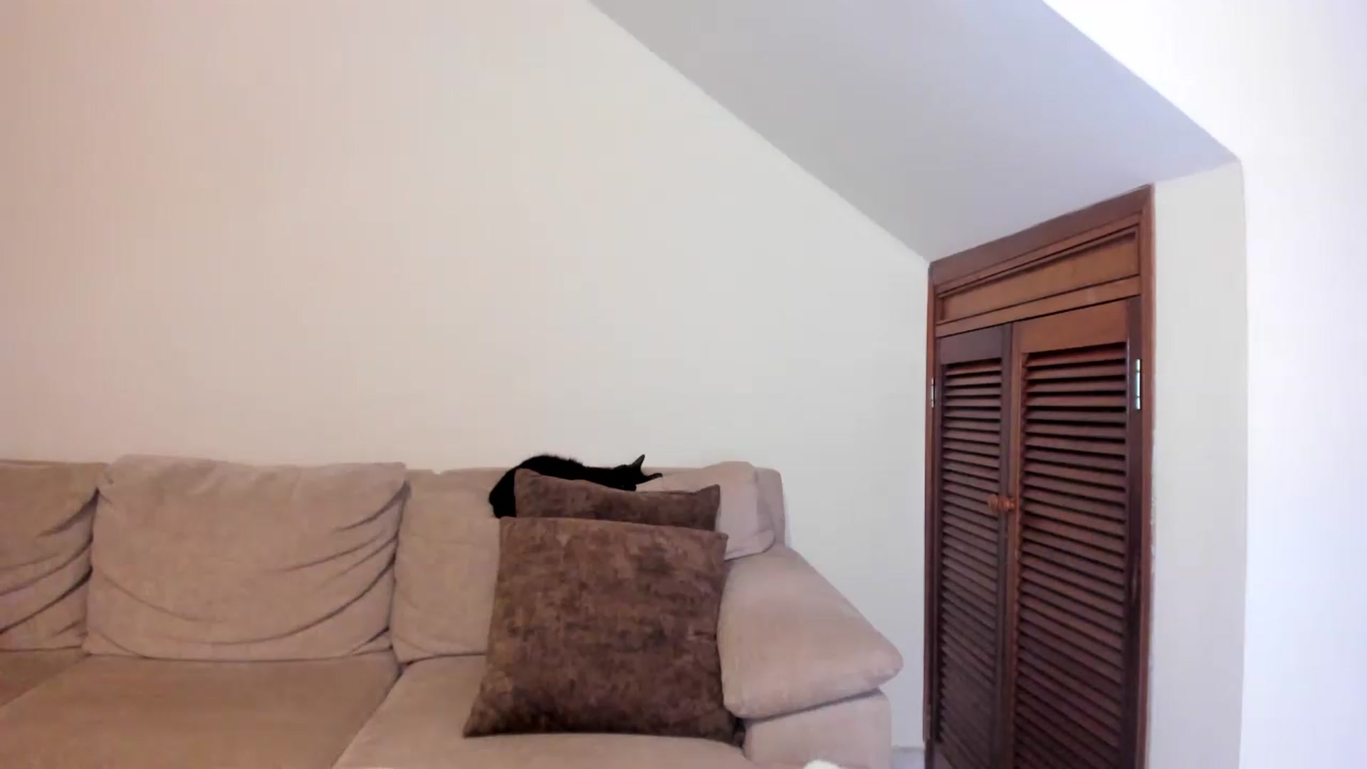 Gallery image thumbnail from GoddessVenus_'s myfreecams stream on, 08/28/2026, 21:32 image 13 of 20