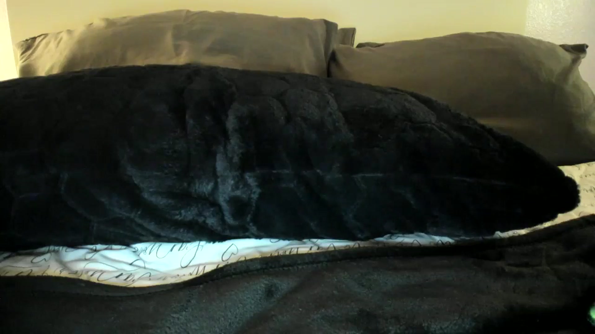 Gallery image thumbnail from Goddess_Jaz's myfreecams stream on, 12/25/2023, 04:46 image 18 of 20
