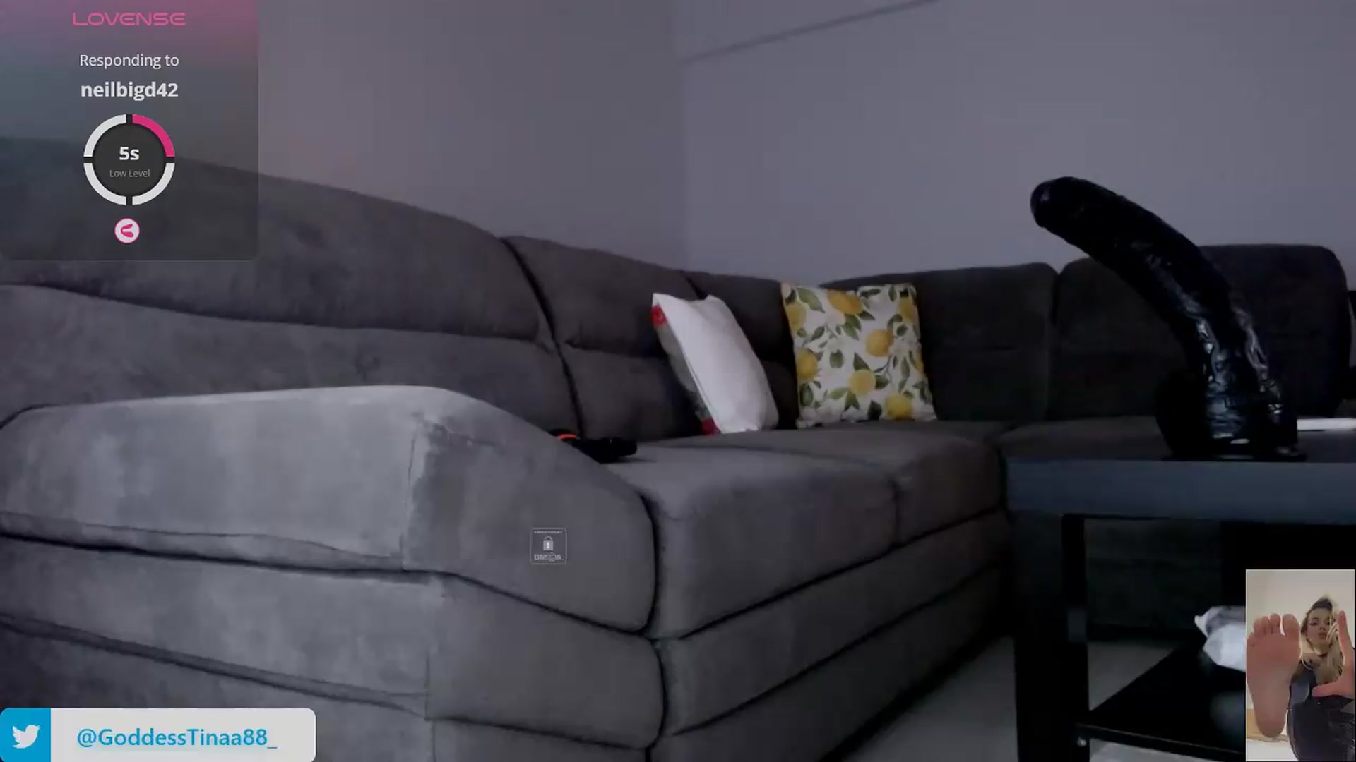 Gallery image thumbnail from Goddess_Tina's myfreecams stream on, 08/02/2026, 16:41 image 19 of 20