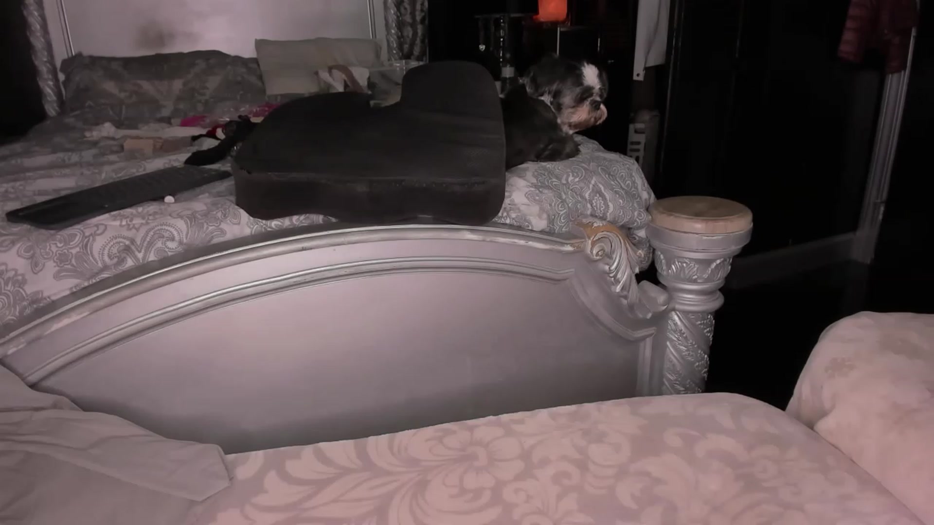 Gallery image thumbnail from Goddesslilah's myfreecams stream on, 12/05/2022, 18:12 image 11 of 20