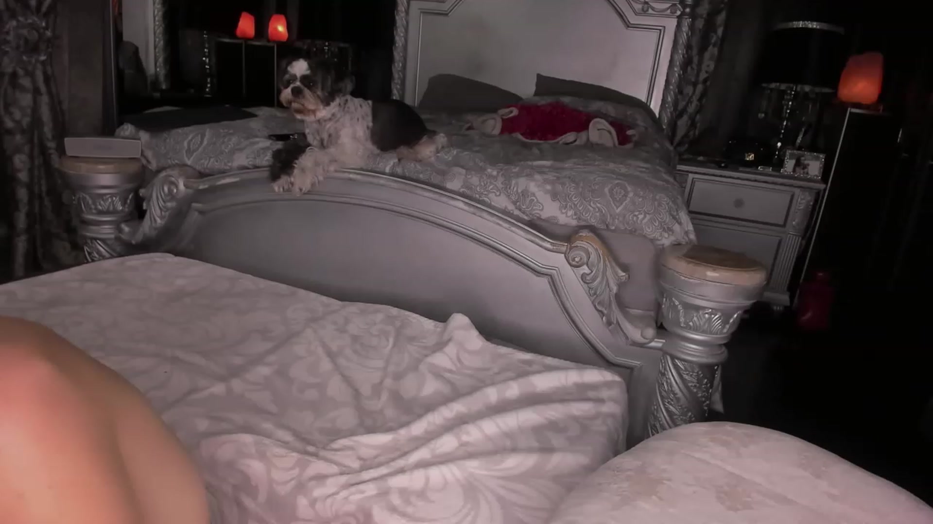 Gallery image thumbnail from Goddesslilah's myfreecams stream on, 01/02/2023, 17:30 image 7 of 20