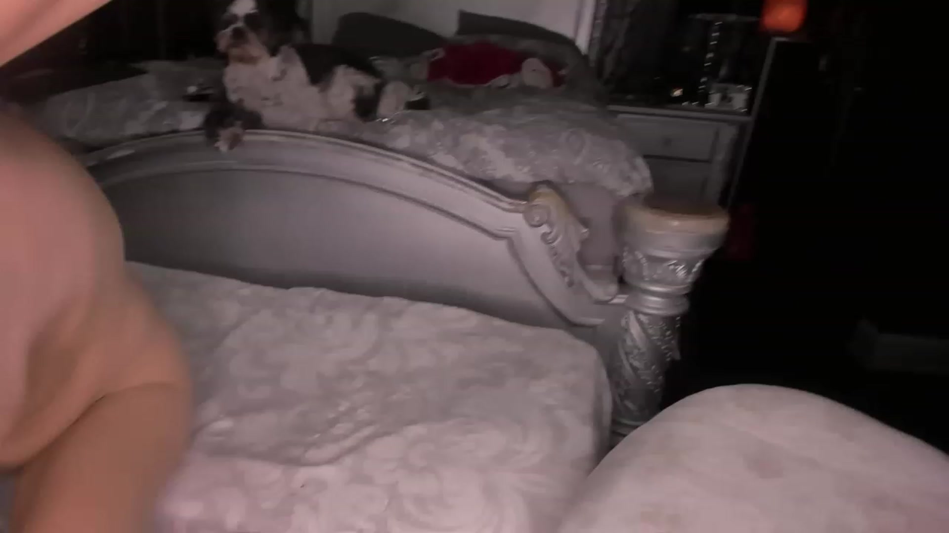 Gallery image thumbnail from Goddesslilah's myfreecams stream on, 01/02/2023, 17:30 image 14 of 20
