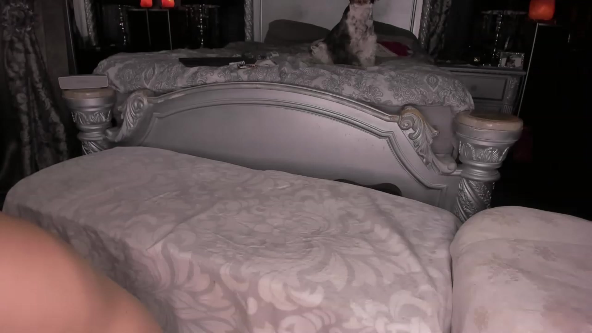 Gallery image thumbnail from Goddesslilah's myfreecams stream on, 01/02/2023, 22:15 image 8 of 20