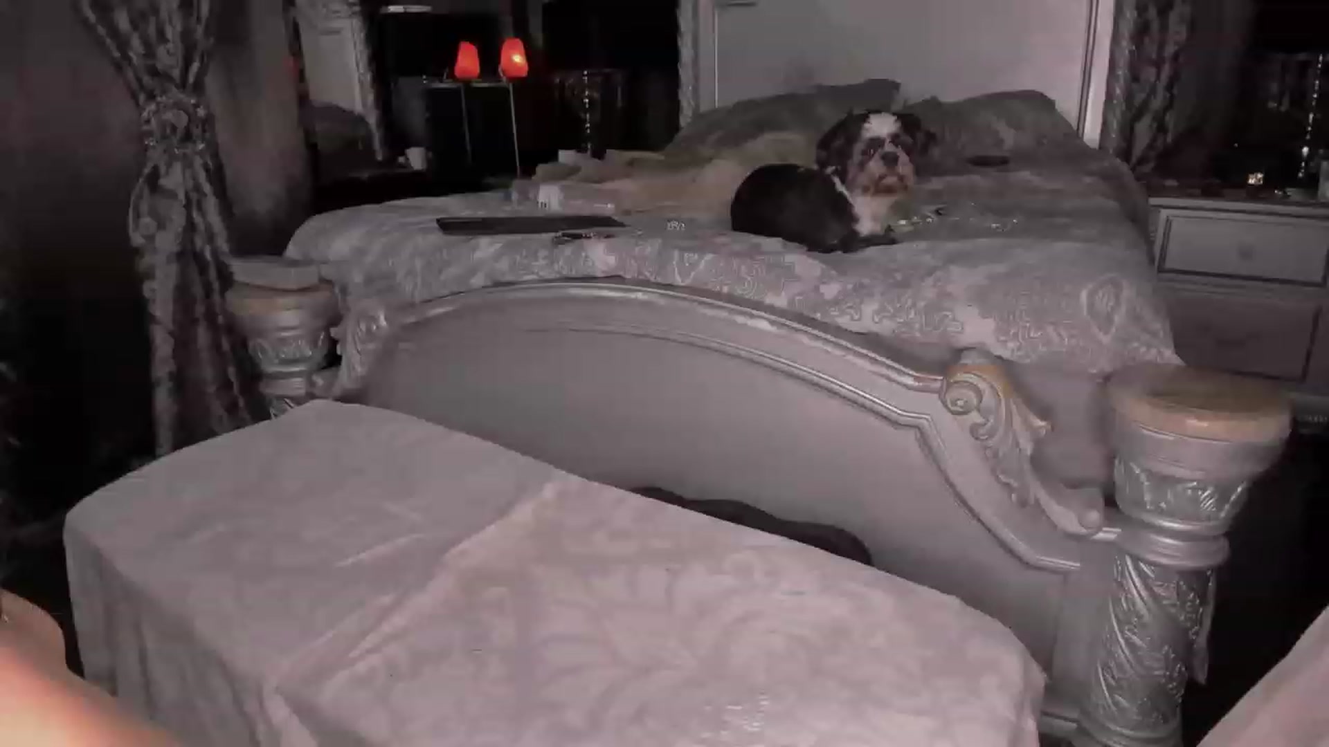 Gallery image thumbnail from Goddesslilah's myfreecams stream on, 01/26/2023, 14:52 image 7 of 20
