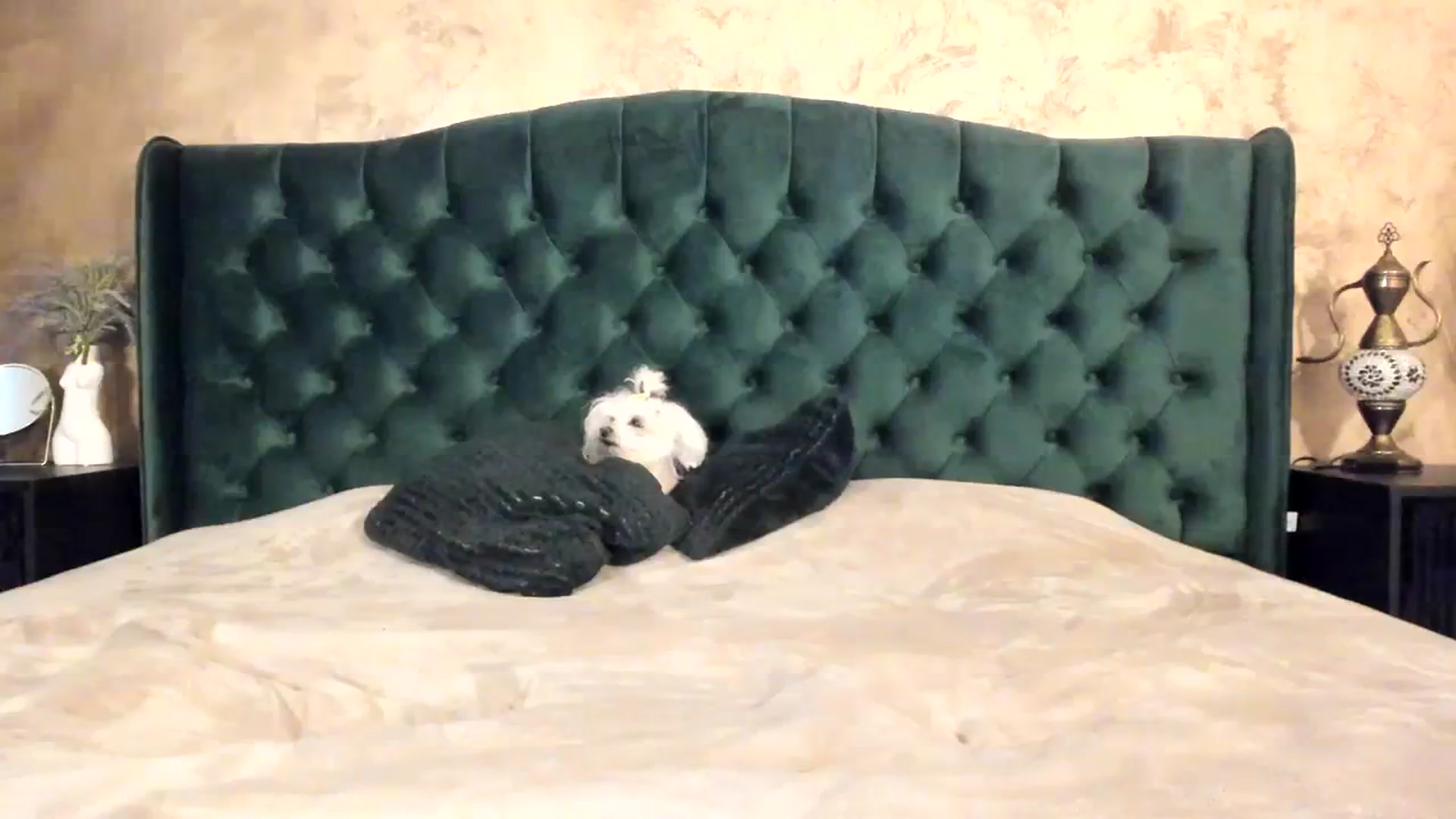 Gallery image thumbnail from Goddesss's myfreecams stream on, 04/08/2024, 11:15 image 3 of 20