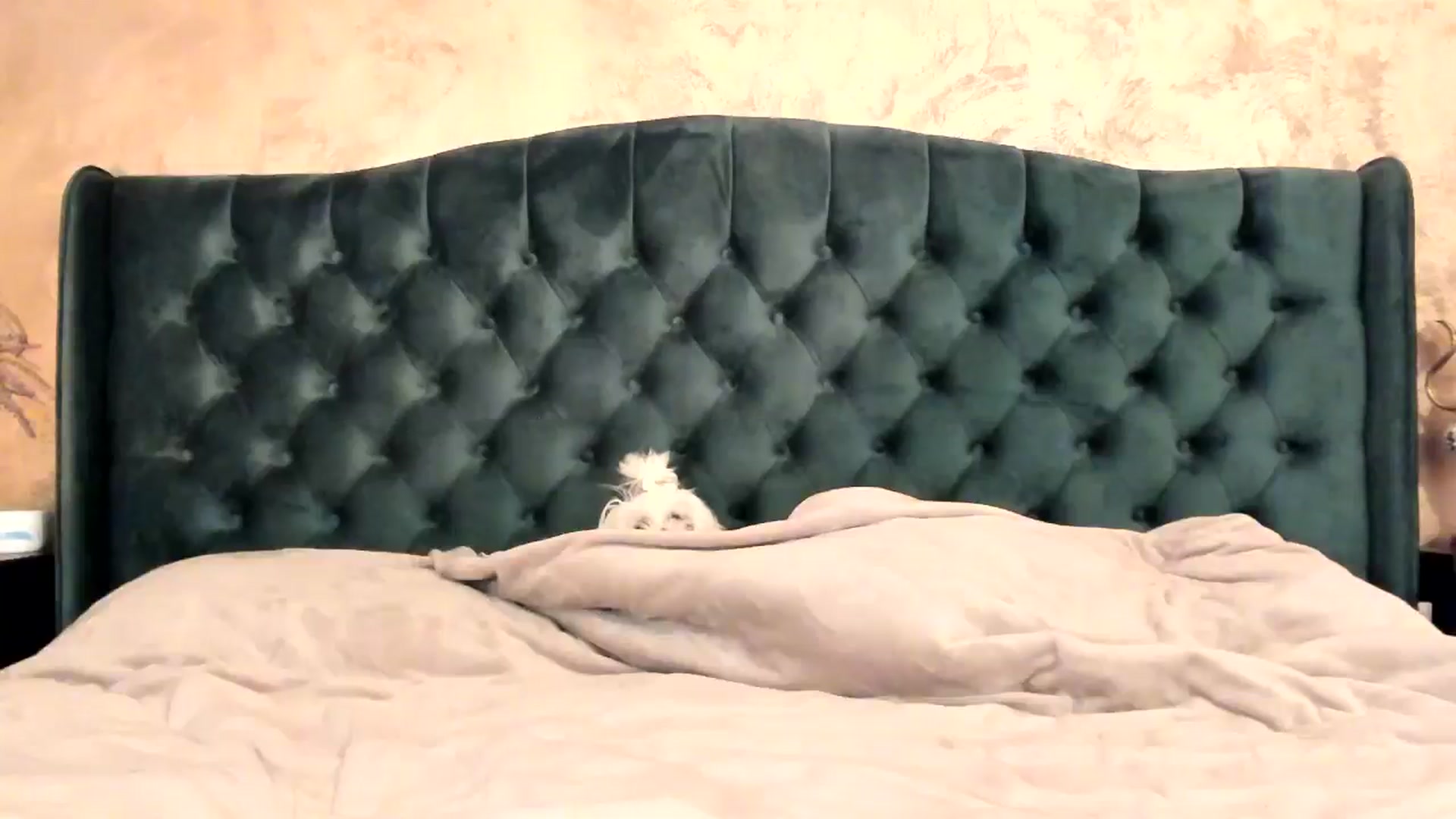 Gallery image thumbnail from Goddesss's myfreecams stream on, 05/17/2024, 11:49 image 5 of 20