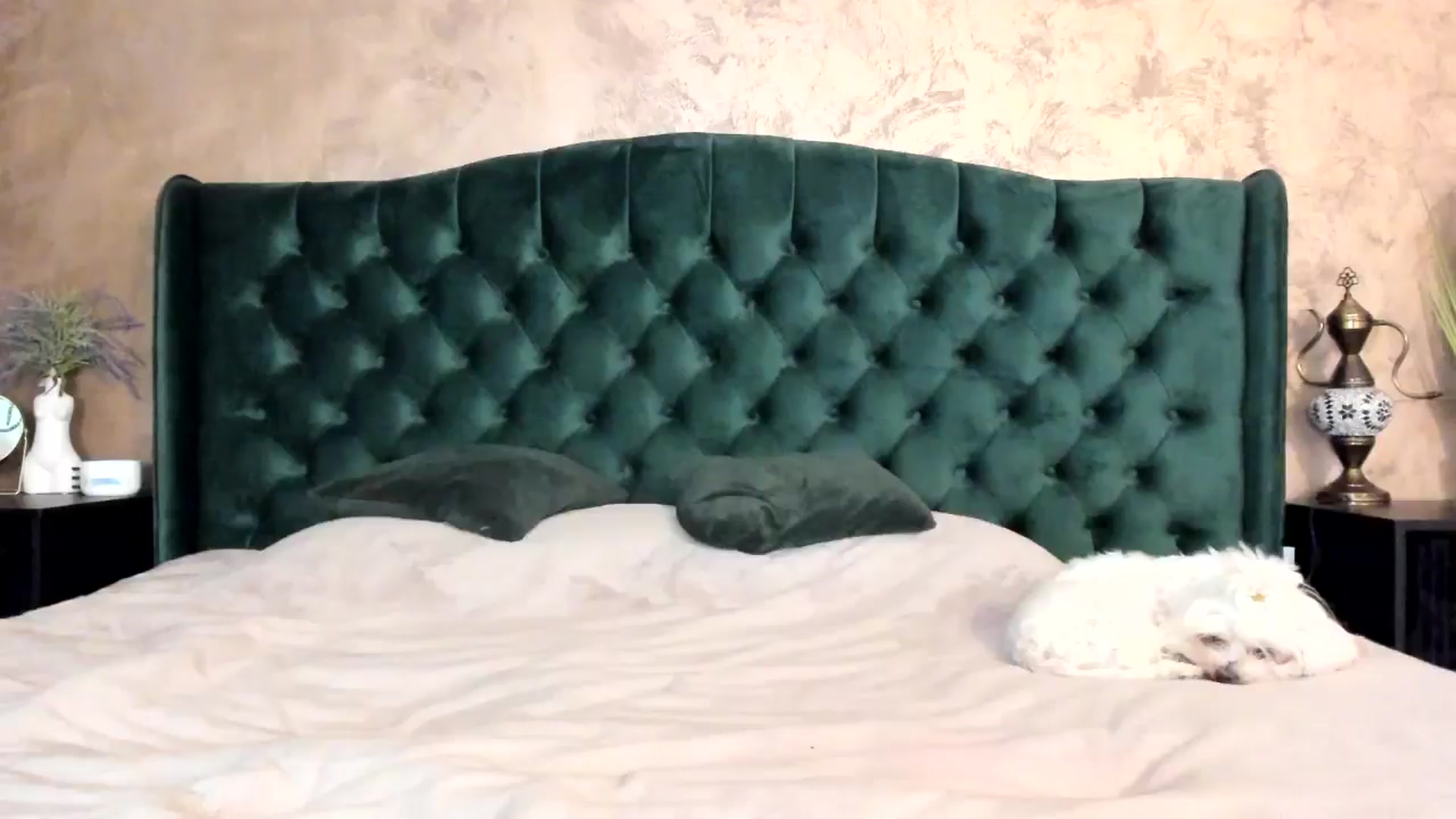 Gallery image thumbnail from Goddesss's myfreecams stream on, 05/21/2024, 09:55 image 10 of 20