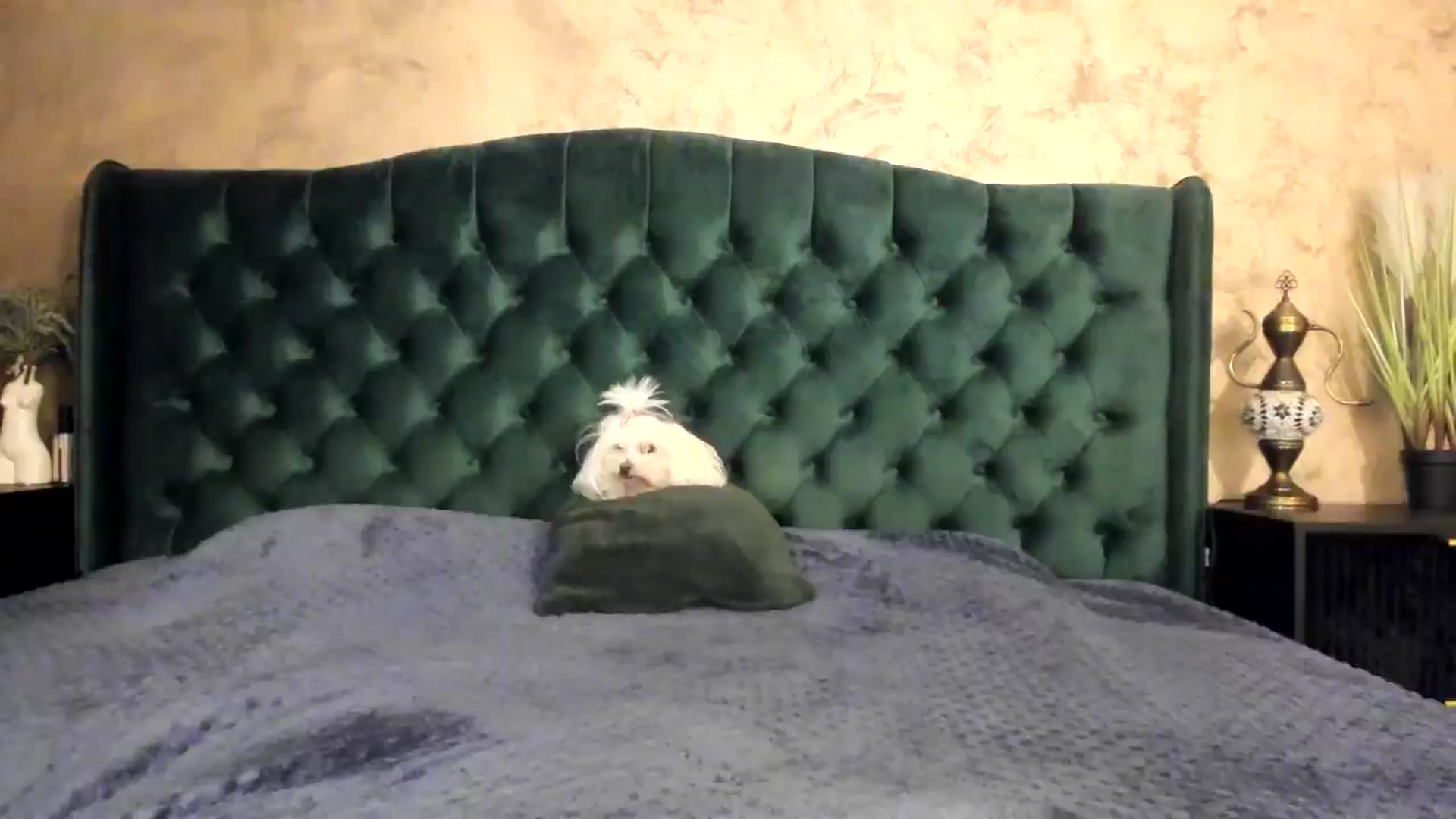 Gallery image thumbnail from Goddesss's myfreecams stream on, 07/29/2024, 08:34 image 14 of 20