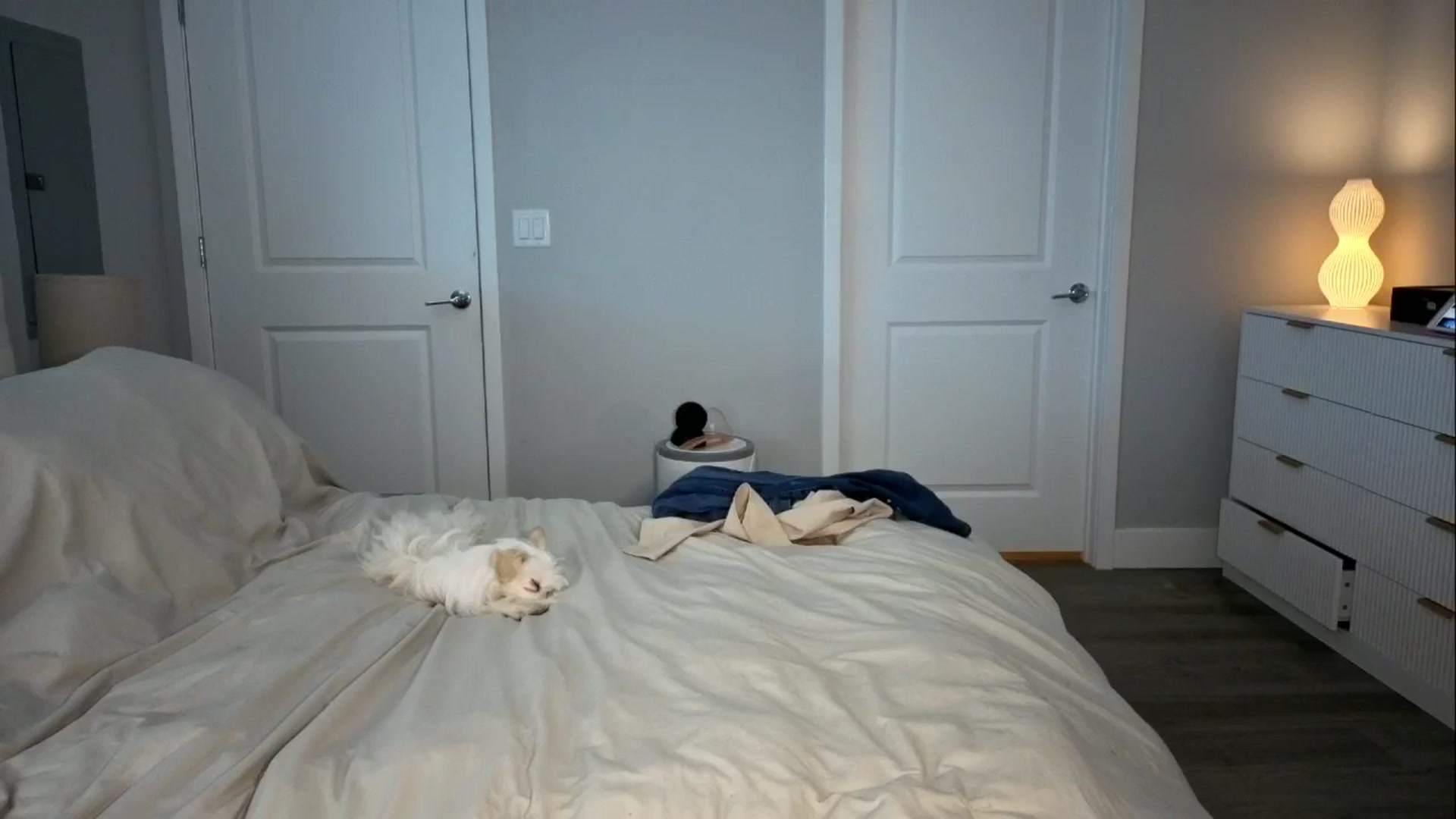 Gallery image thumbnail from GodessTatiRae's myfreecams stream on, 03/12/2026, 03:41 image 9 of 20