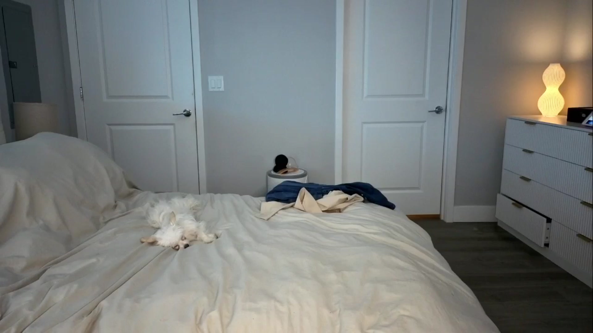 Gallery image thumbnail from GodessTatiRae's myfreecams stream on, 03/12/2026, 03:41 image 2 of 20