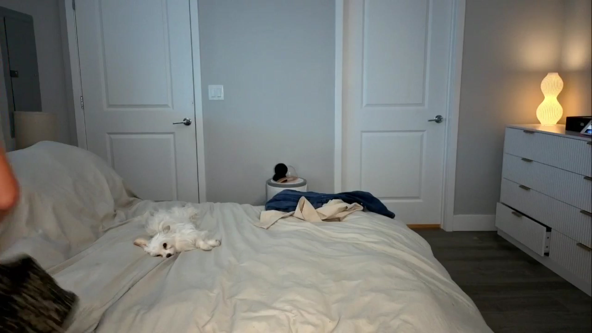 Gallery image thumbnail from GodessTatiRae's myfreecams stream on, 03/12/2026, 03:41 image 7 of 20