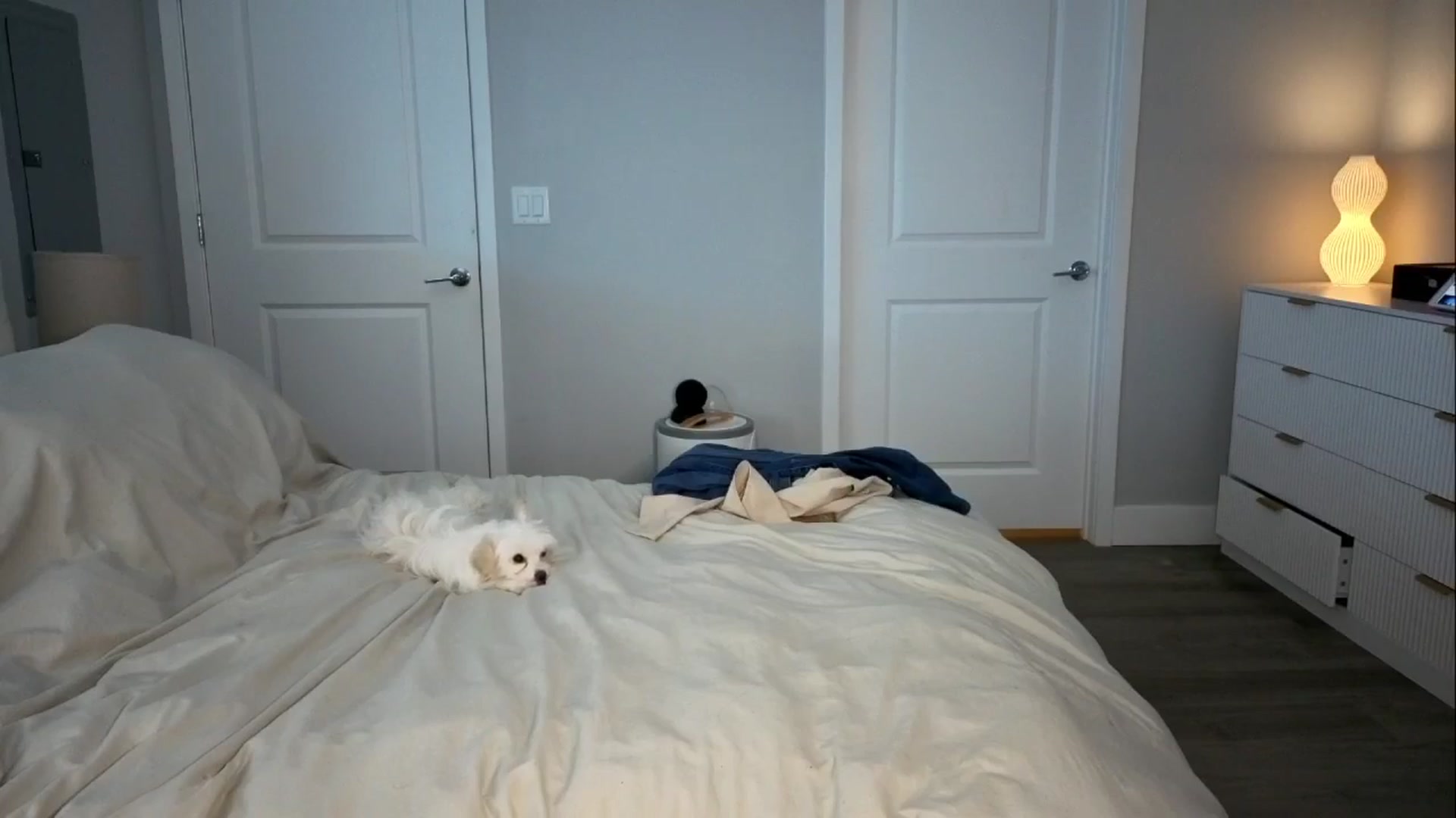 Gallery image thumbnail from GodessTatiRae's myfreecams stream on, 03/12/2026, 03:41 image 5 of 20