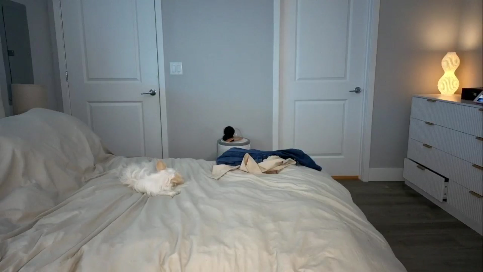Gallery image thumbnail from GodessTatiRae's myfreecams stream on, 03/12/2026, 03:41 image 3 of 20