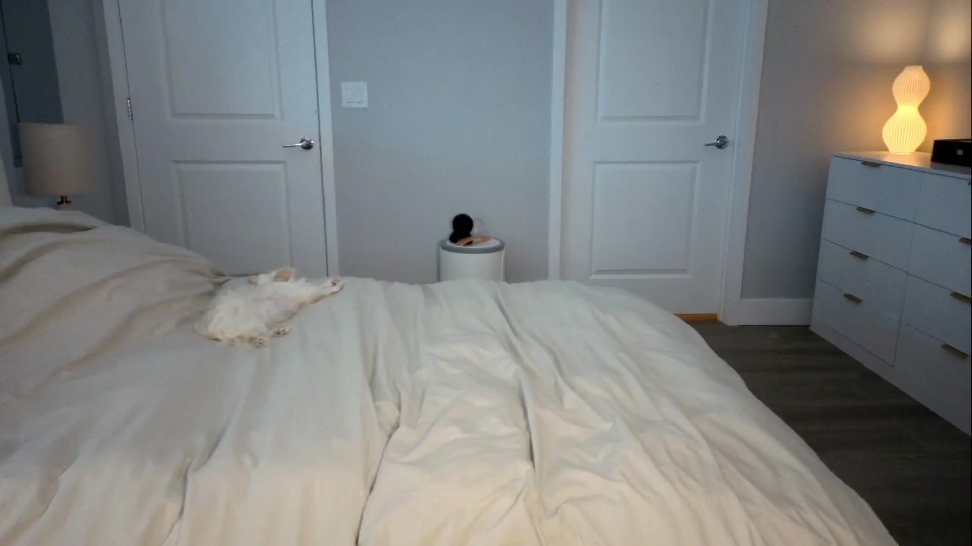 Gallery image thumbnail from GodessTatiRae's myfreecams stream on, 03/13/2026, 06:19 image 18 of 20