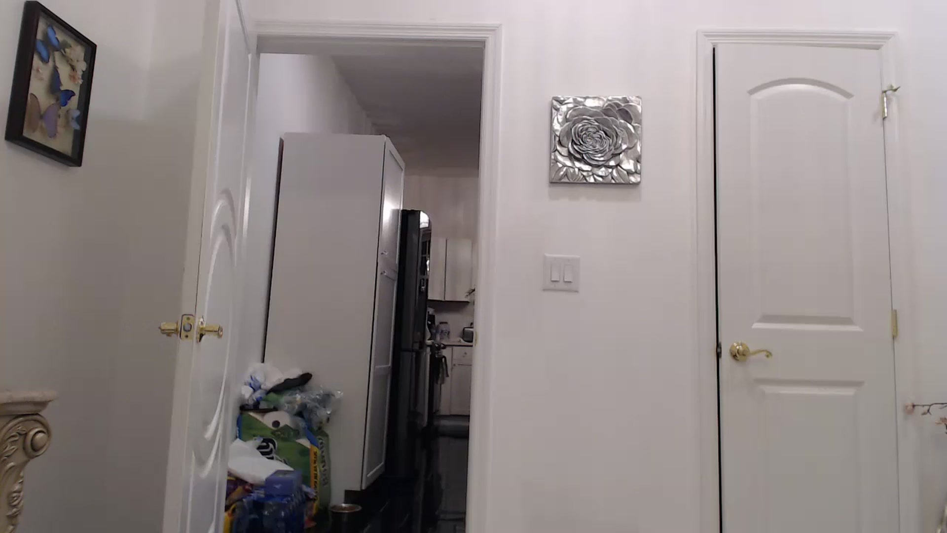 Gallery image thumbnail from Godiva6's myfreecams stream on, 01/18/2024, 24:02 image 13 of 20