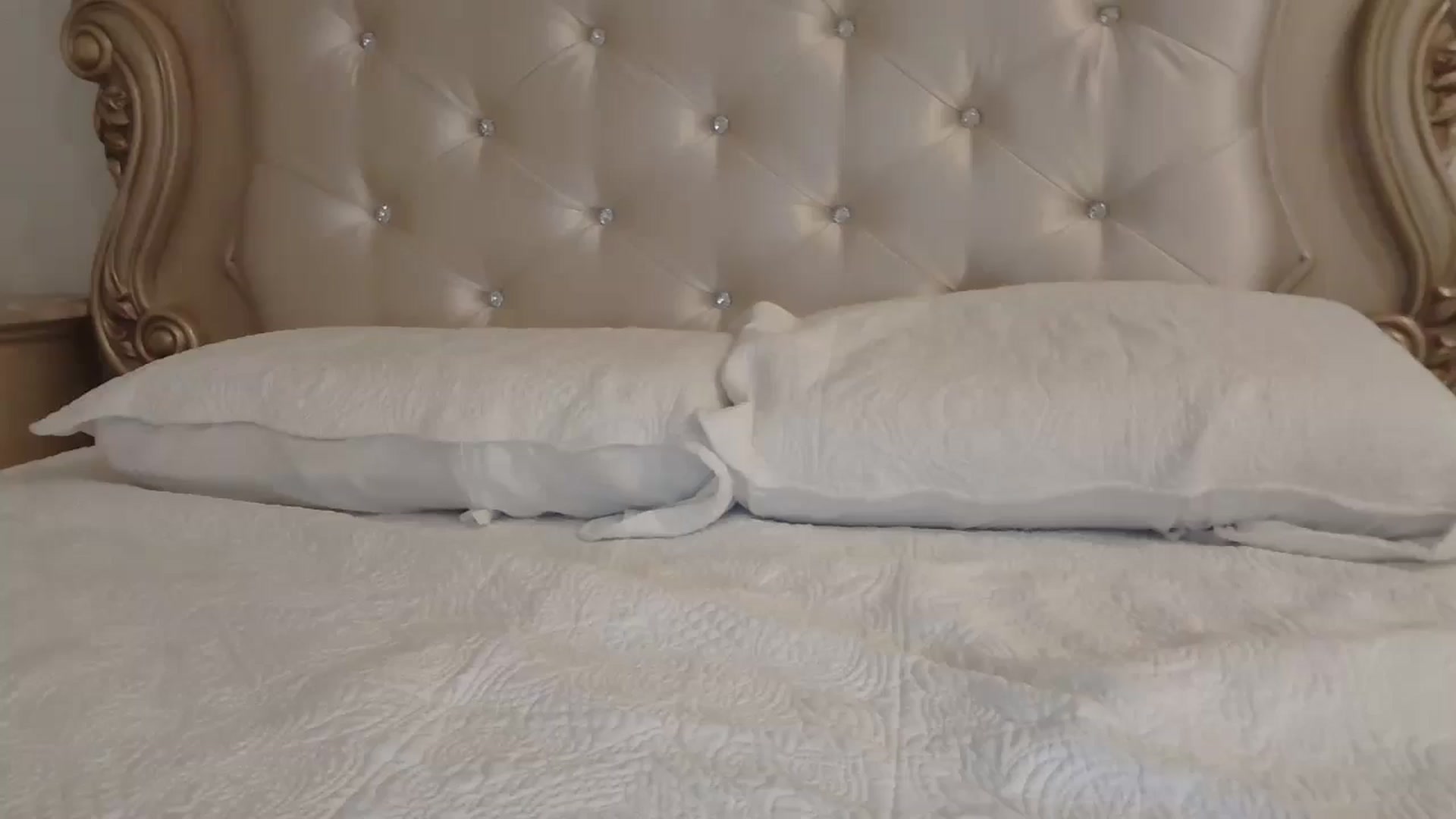 Gallery image thumbnail from Godiva6's myfreecams stream on, 12/19/2025, 23:59 image 1 of 20