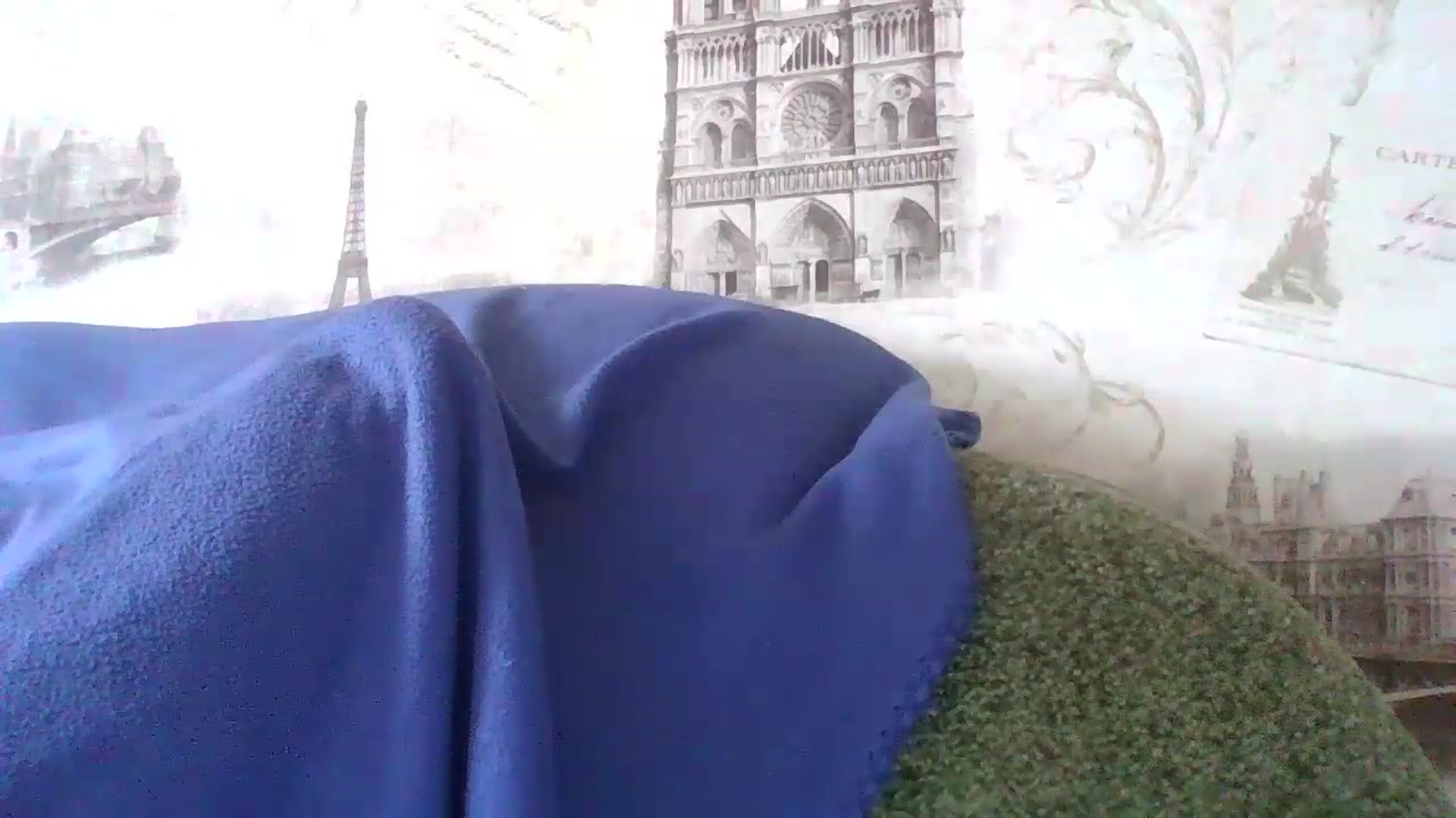 Gallery image thumbnail from Gold_girll's myfreecams stream on, 05/25/2026, 08:38 image 14 of 20