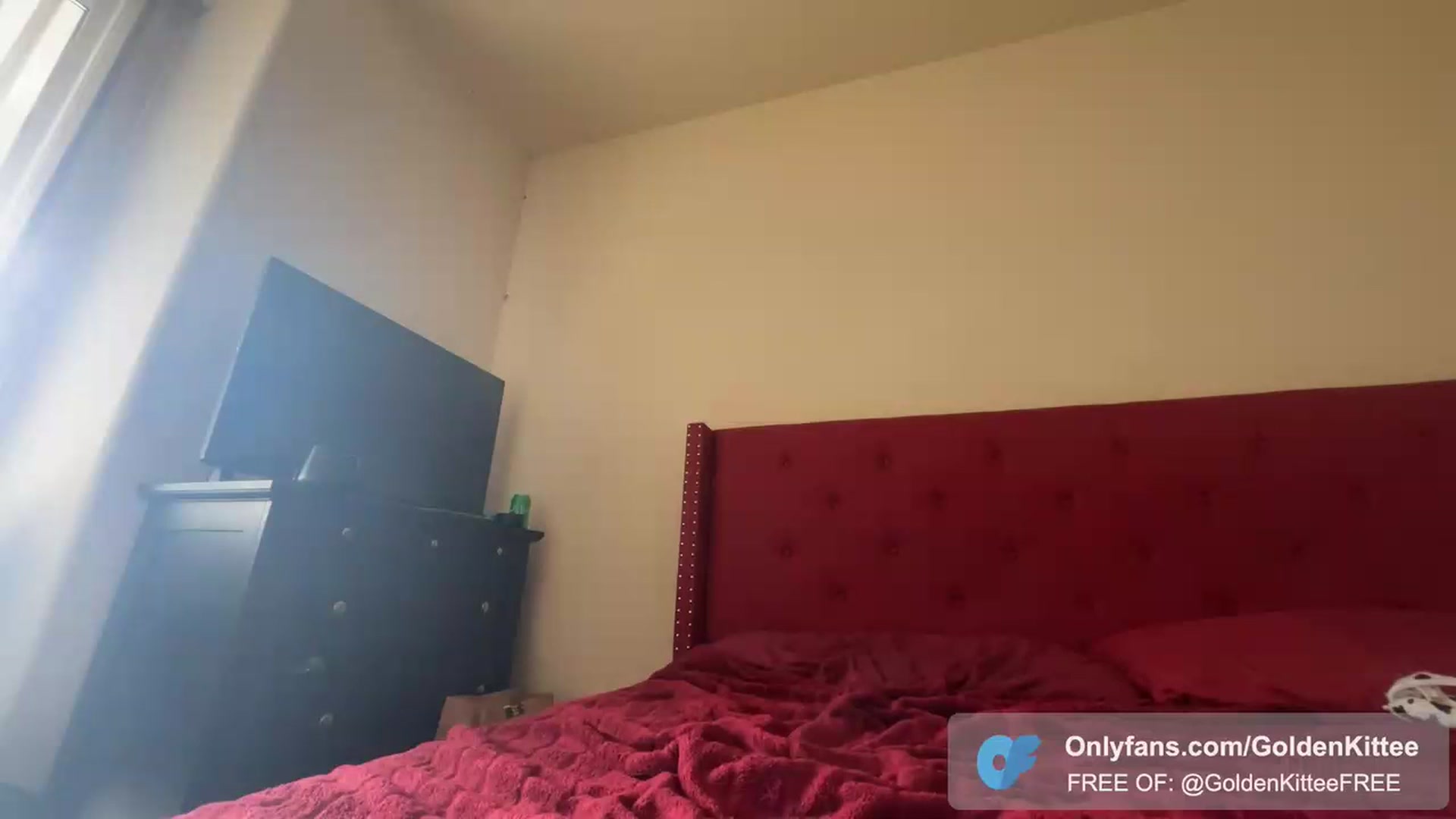 Gallery image thumbnail from GoldenKittee's myfreecams stream on, 12/31/2023, 21:04 image 11 of 20