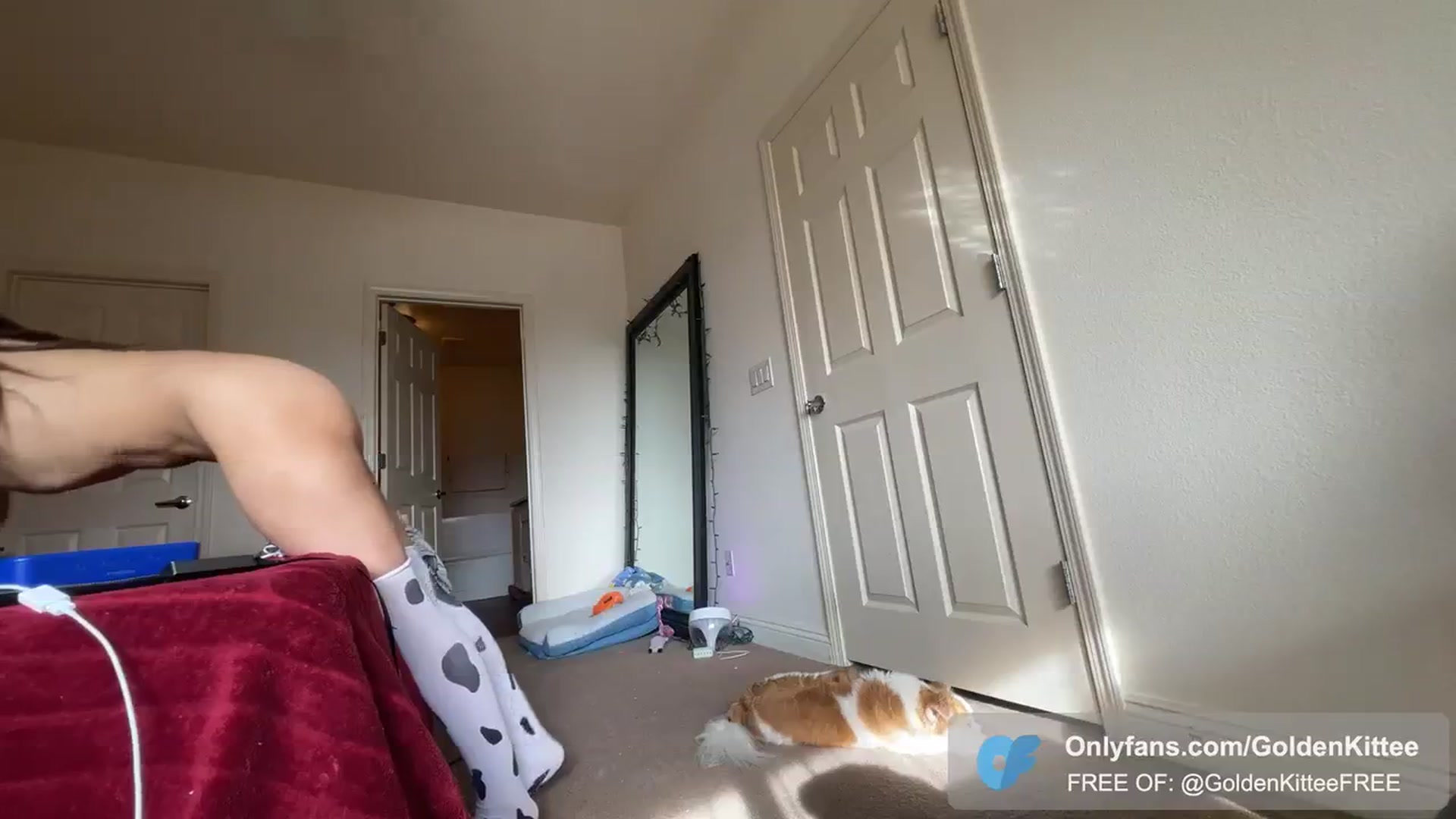 Gallery image thumbnail from GoldenKittee's myfreecams stream on, 12/31/2023, 21:04 image 20 of 20