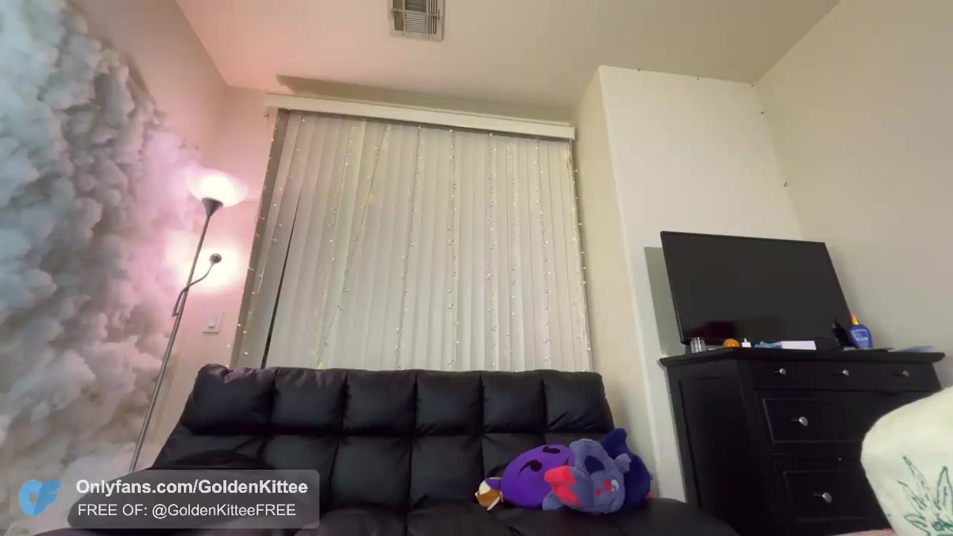 Gallery image thumbnail from GoldenKittee's myfreecams stream on, 04/11/2024, 03:18 image 20 of 20