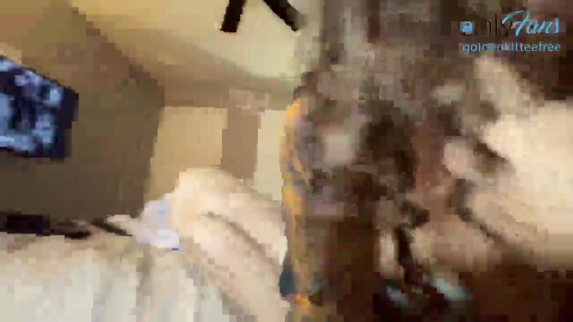 Gallery image thumbnail from GoldenKittee's myfreecams stream on, 06/18/2024, 02:54 image 2 of 20