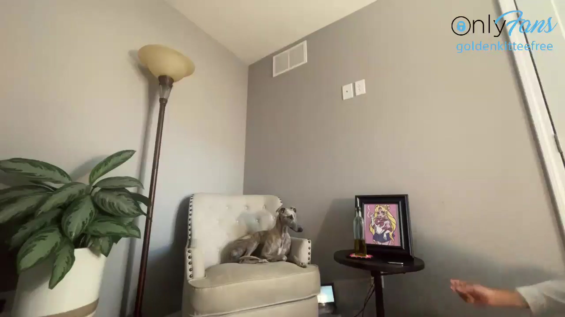 Gallery image thumbnail from GoldenKittee's myfreecams stream on, 06/24/2024, 22:10 image 4 of 20