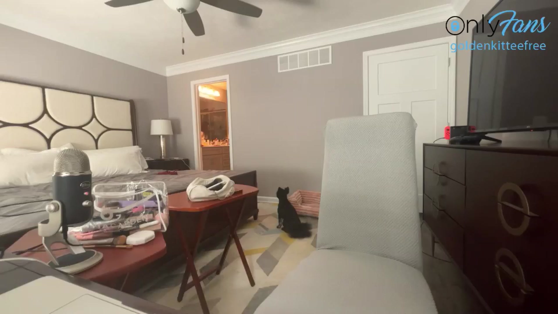 Gallery image thumbnail from GoldenKittee's myfreecams stream on, 06/28/2024, 20:29 image 19 of 20