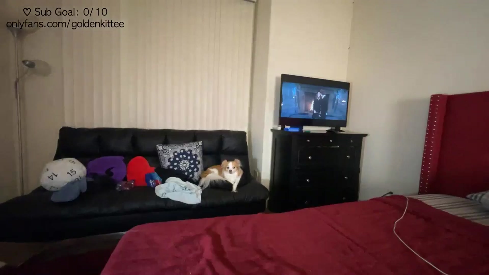 Gallery image thumbnail from GoldenKittee's myfreecams stream on, 09/10/2024, 10:06 image 8 of 20