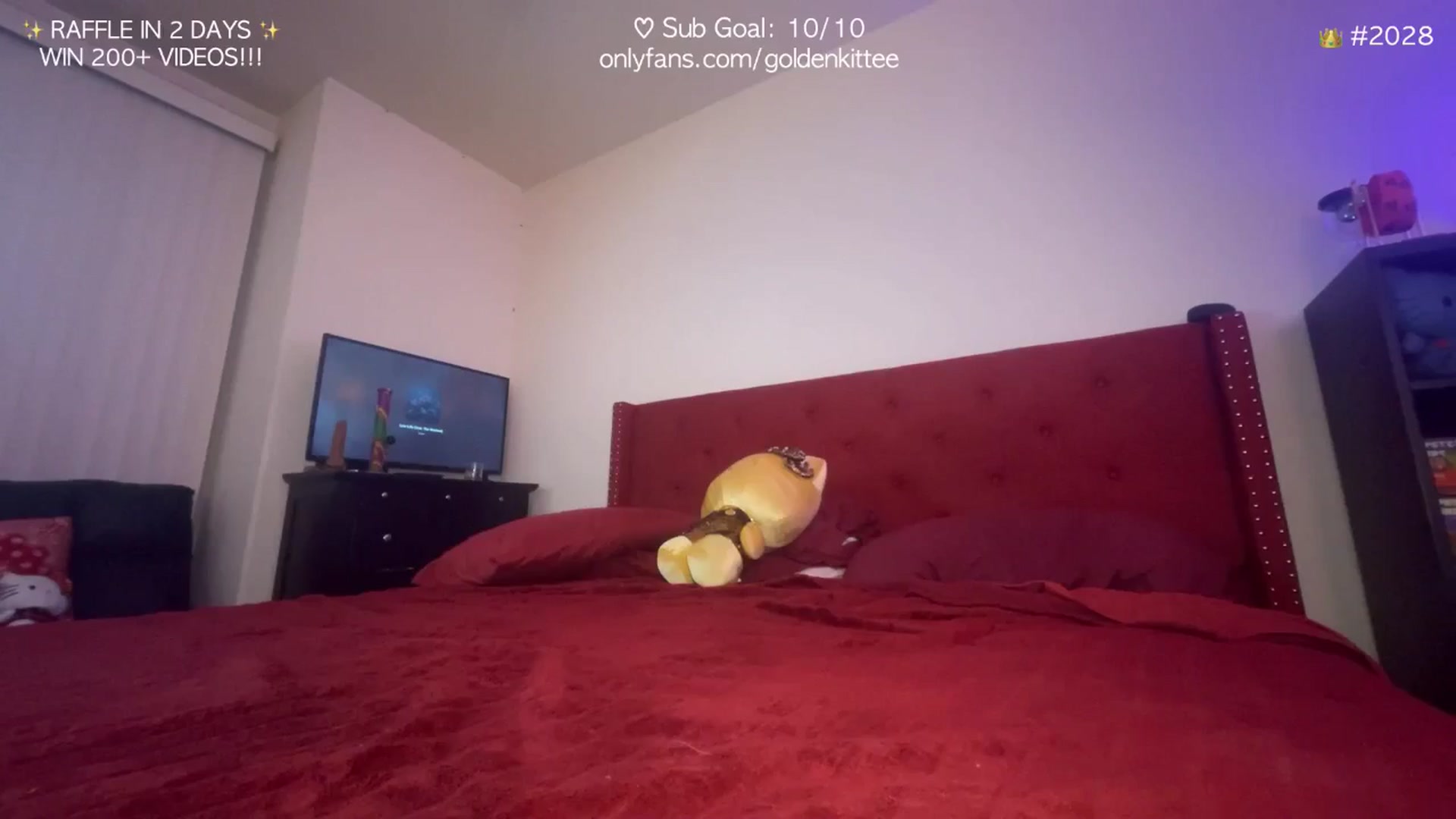 Gallery image thumbnail from GoldenKittee's myfreecams stream on, 10/11/2024, 08:06 image 6 of 20