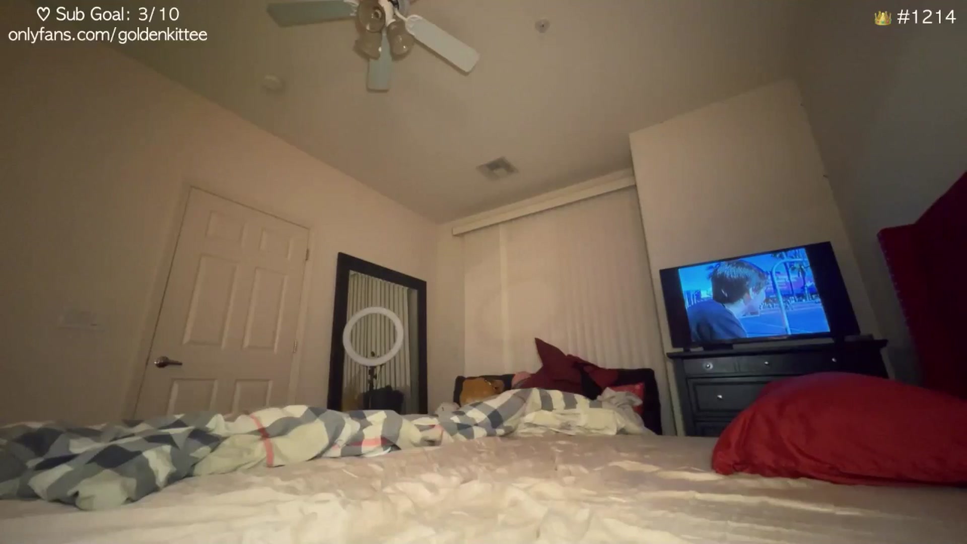 Gallery image thumbnail from GoldenKittee's myfreecams stream on, 10/24/2024, 09:12 image 7 of 20