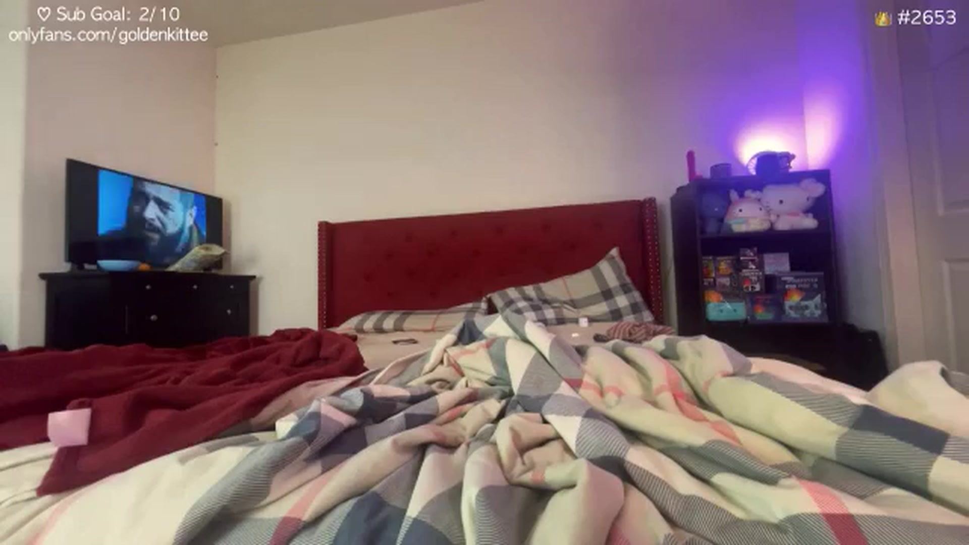 Gallery image thumbnail from GoldenKittee's myfreecams stream on, 11/20/2024, 07:50 image 19 of 20