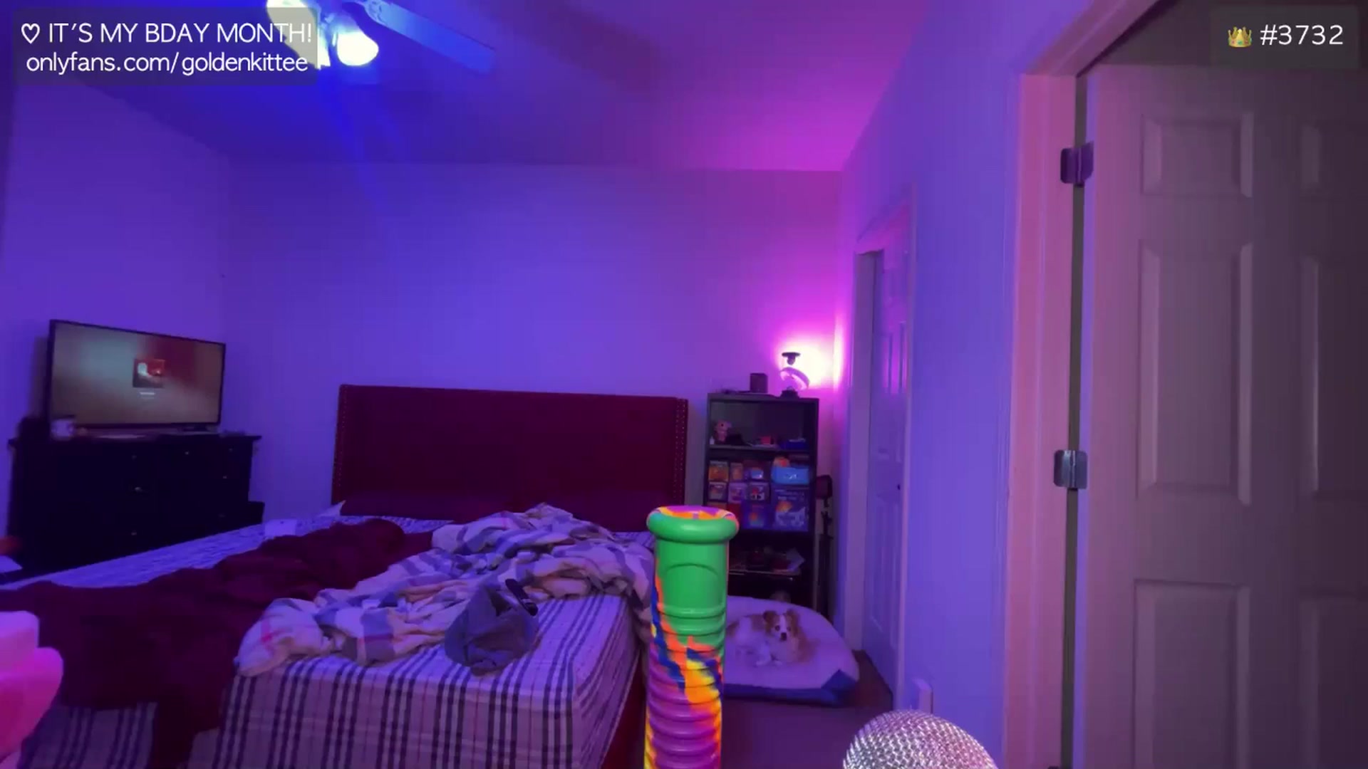 Gallery image thumbnail from GoldenKittee's myfreecams stream on, 12/20/2024, 11:28 image 12 of 20