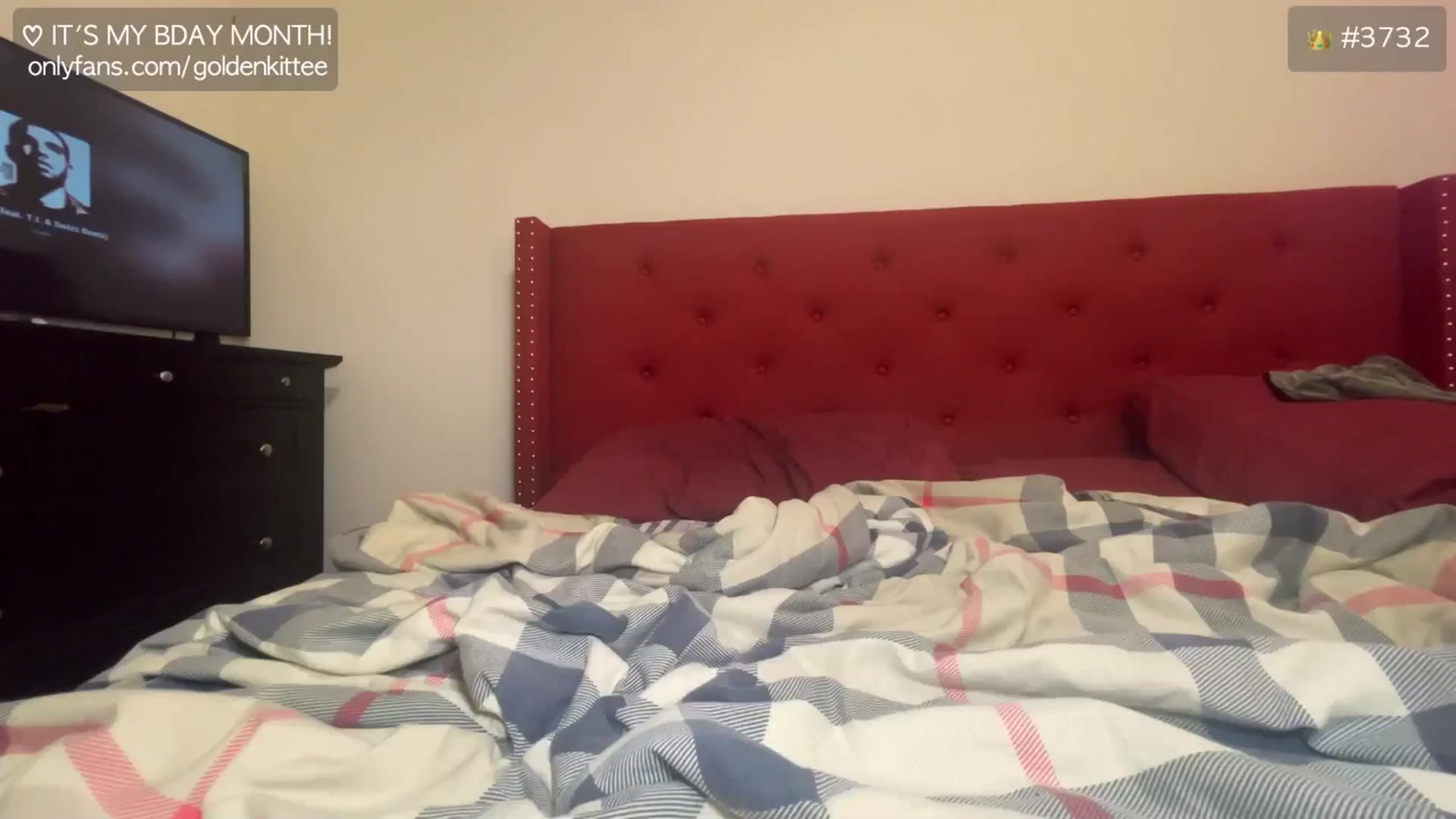 Gallery image thumbnail from GoldenKittee's myfreecams stream on, 12/29/2024, 08:26 image 12 of 20