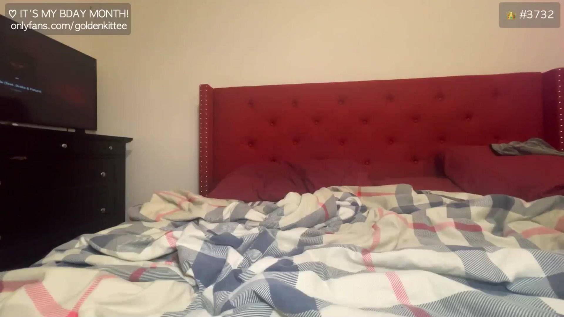 Gallery image thumbnail from GoldenKittee's myfreecams stream on, 12/29/2024, 08:26 image 13 of 20