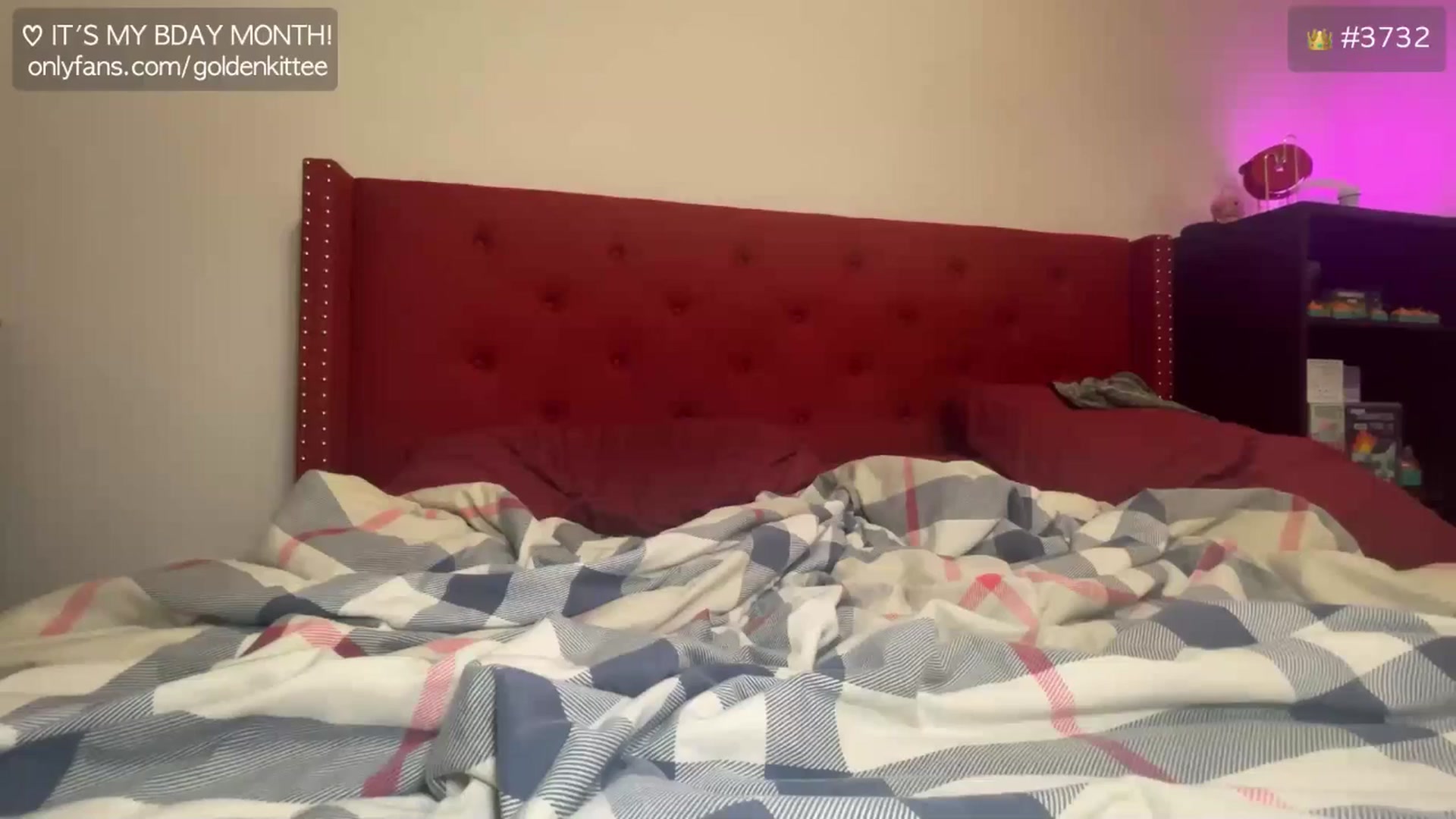 Gallery image thumbnail from GoldenKittee's myfreecams stream on, 12/29/2024, 08:26 image 6 of 20