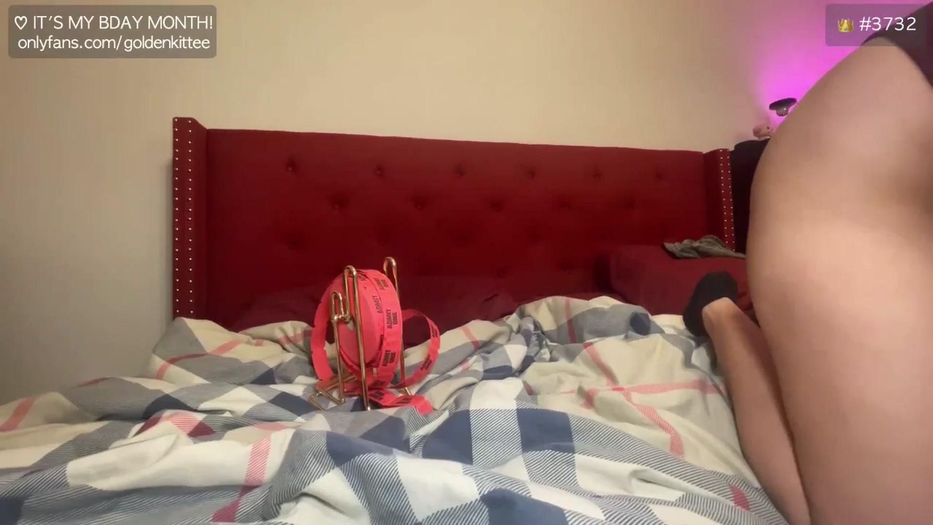 Gallery image thumbnail from GoldenKittee's myfreecams stream on, 12/29/2024, 08:26 image 7 of 20
