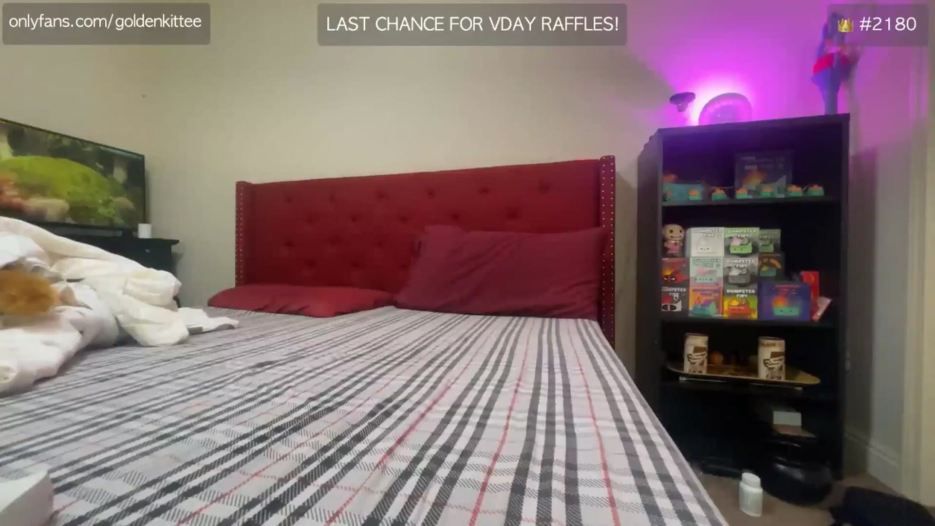 Gallery image thumbnail from GoldenKittee's myfreecams stream on, 02/14/2025, 10:28 image 3 of 20