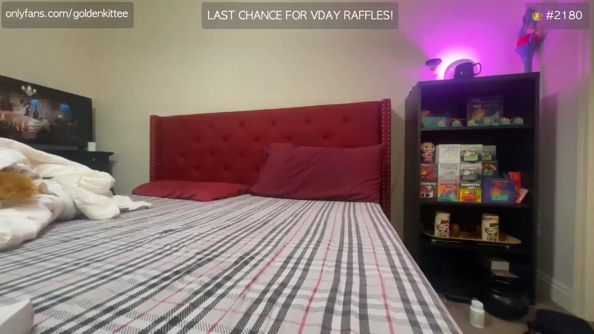 Gallery image thumbnail from GoldenKittee's myfreecams stream on, 02/14/2025, 10:28 image 4 of 20